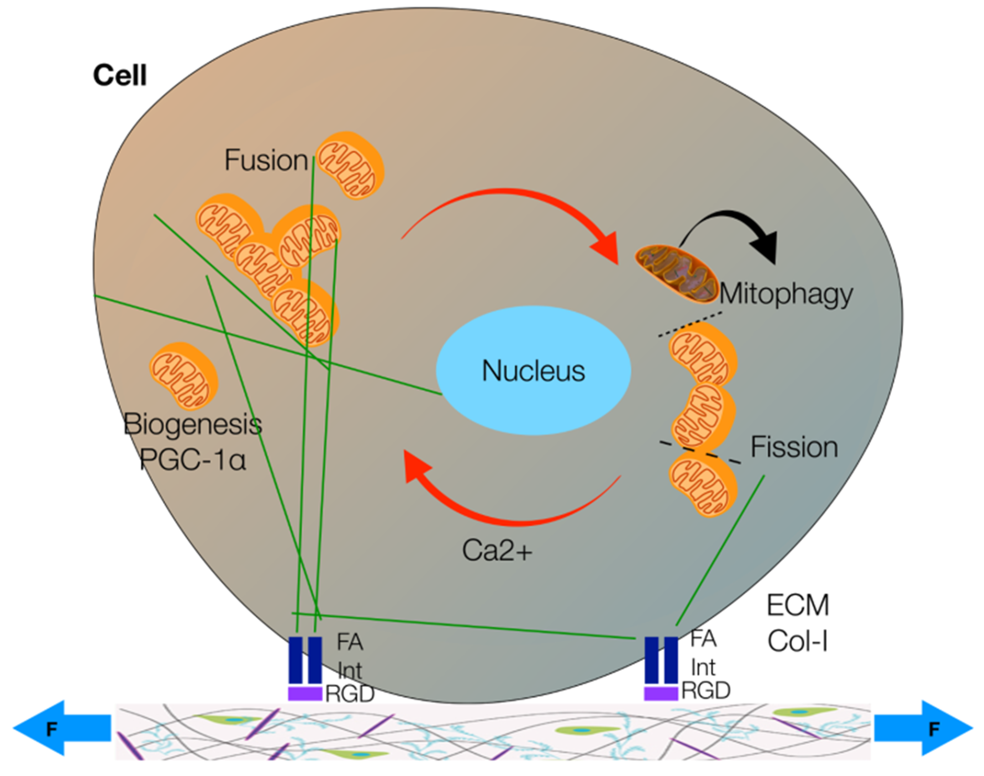Healthcare 09 00181 g002