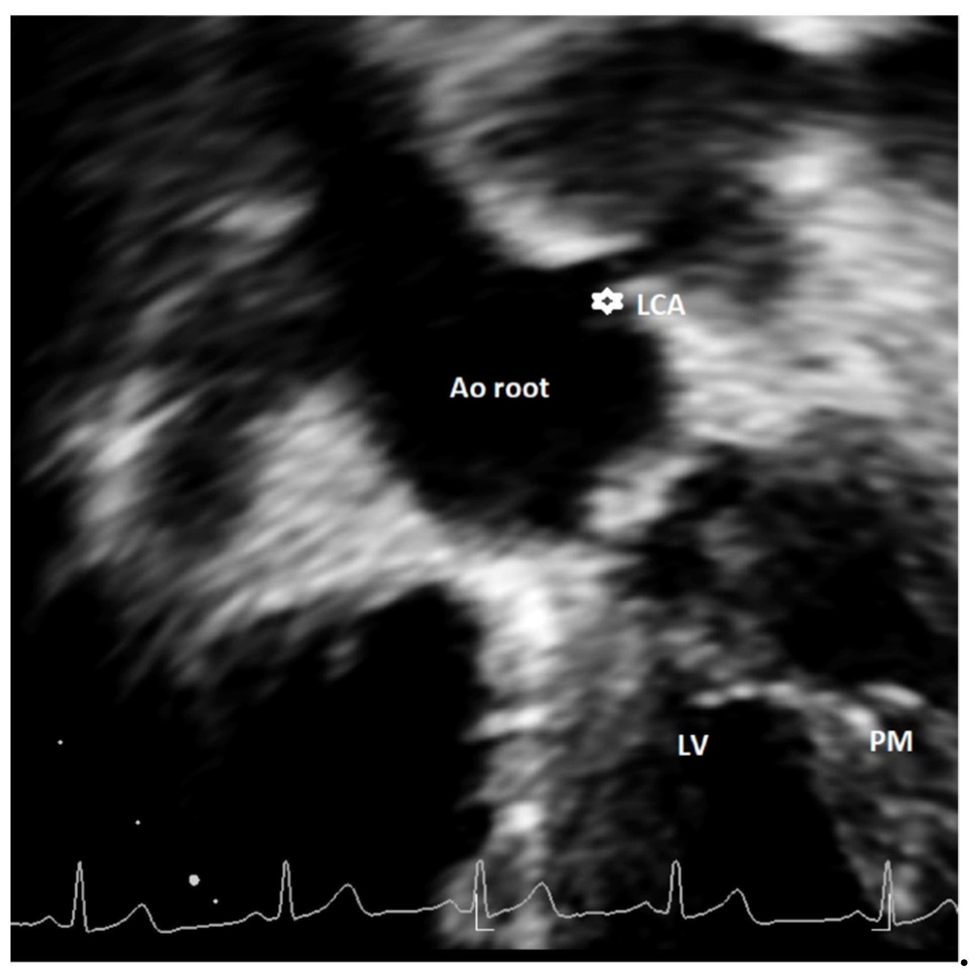 Healthcare 09 00231 g004