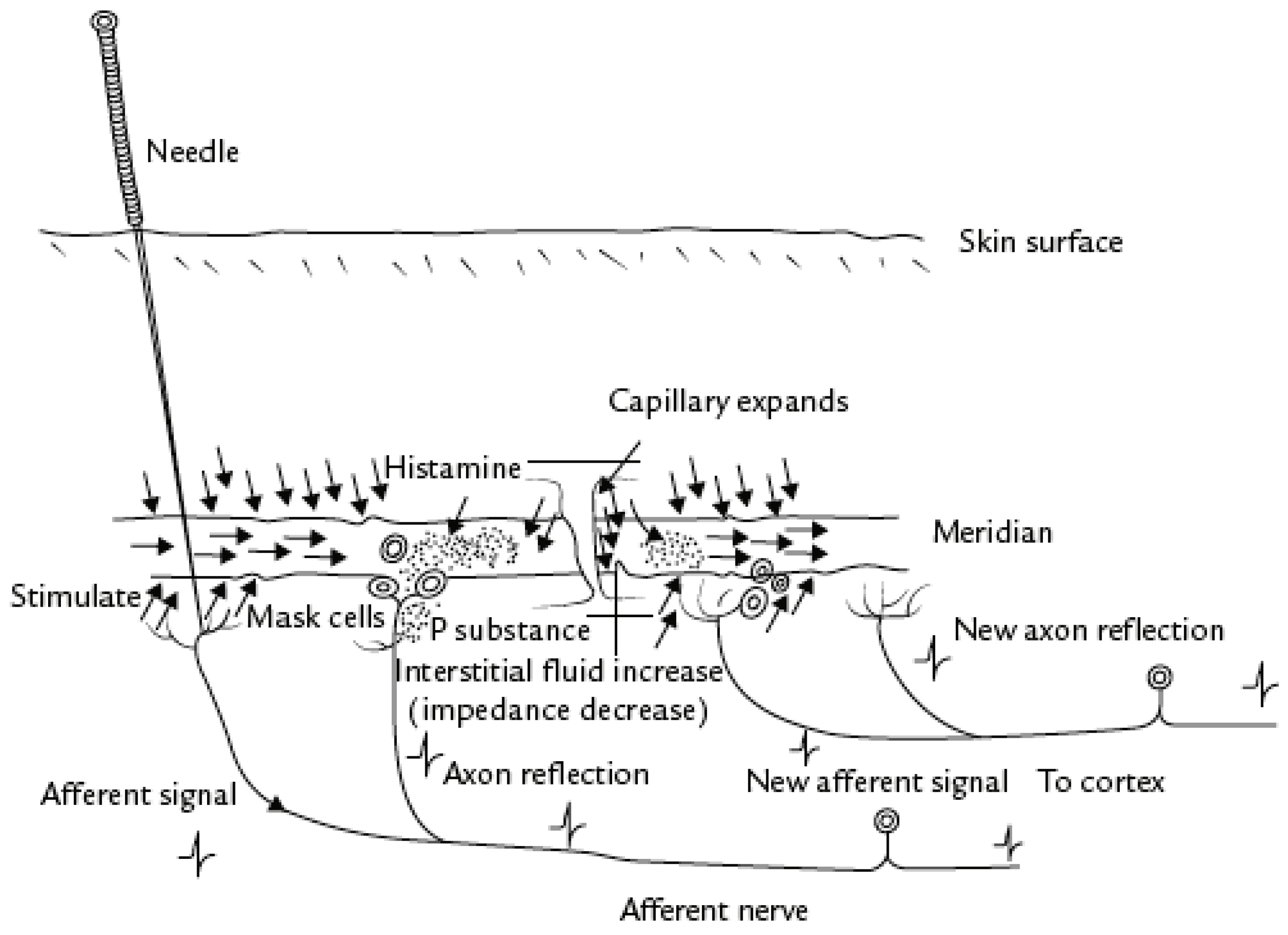 Healthcare 09 00257 g008 Healthcare 09 00257 g008
