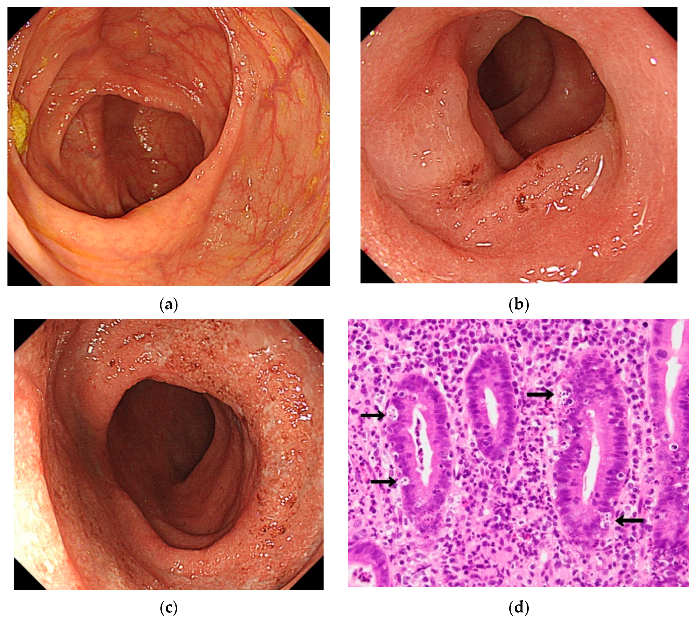 Healthcare 09 00418 g001