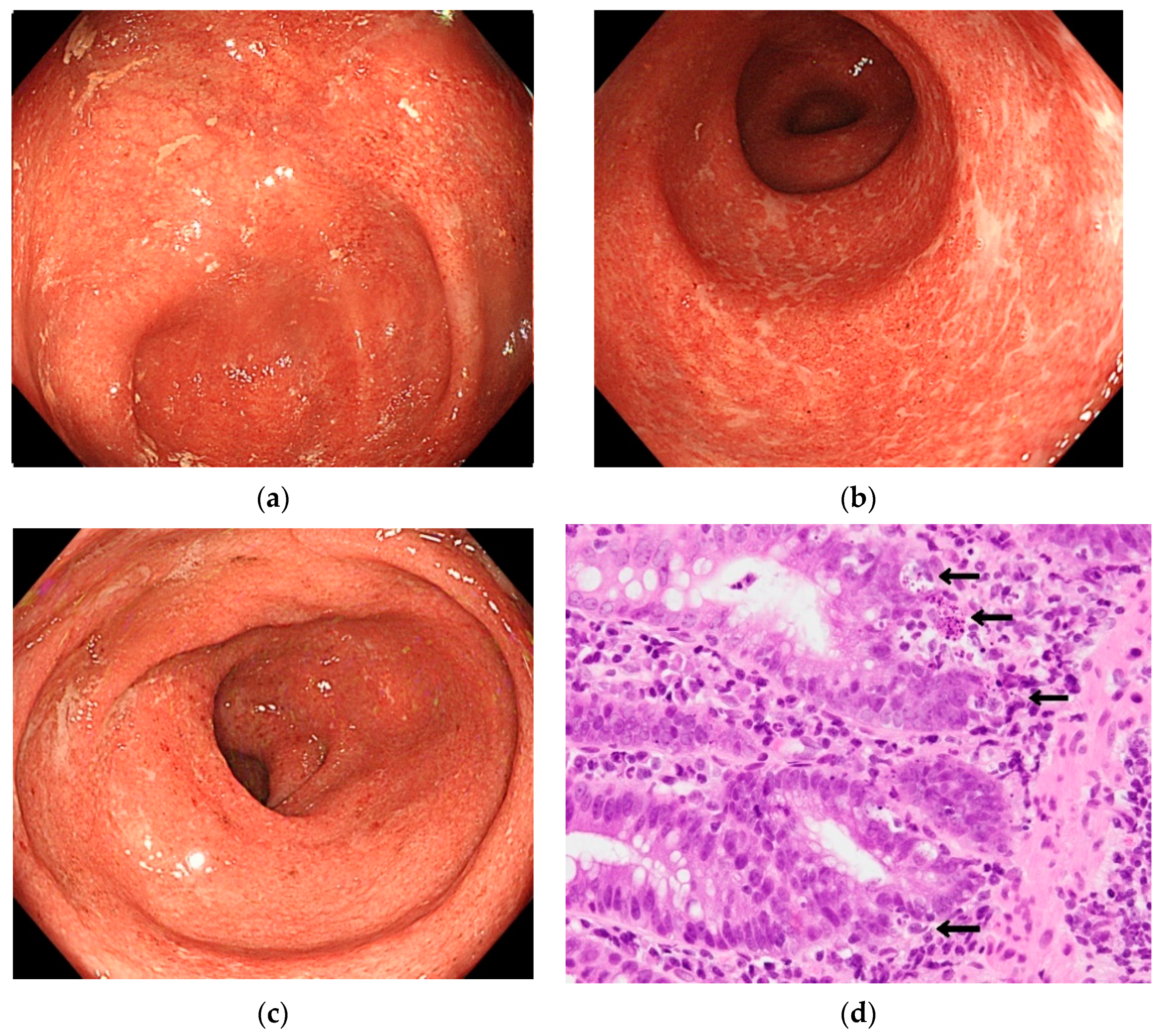 Healthcare 09 00418 g002