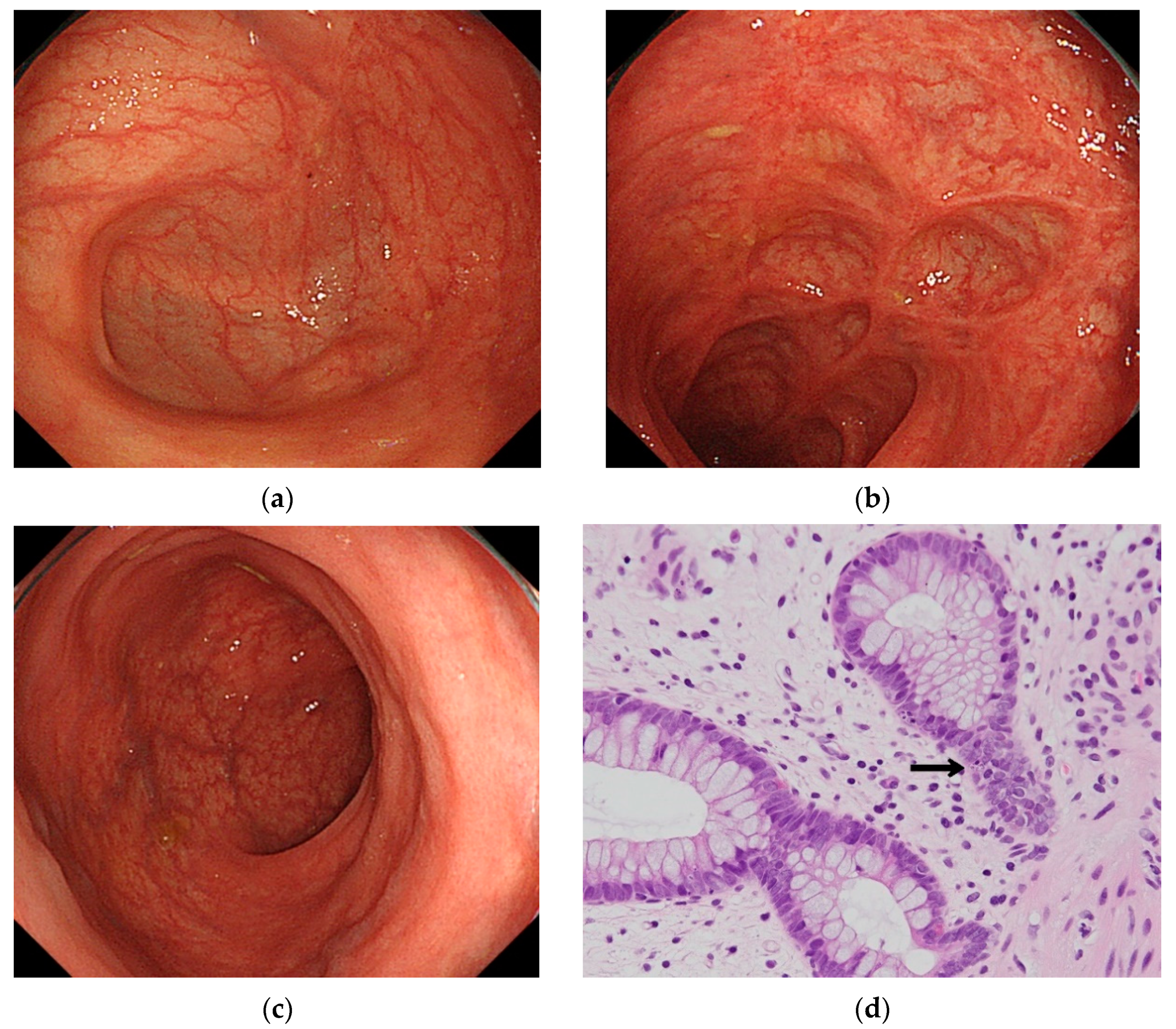Healthcare 09 00418 g003