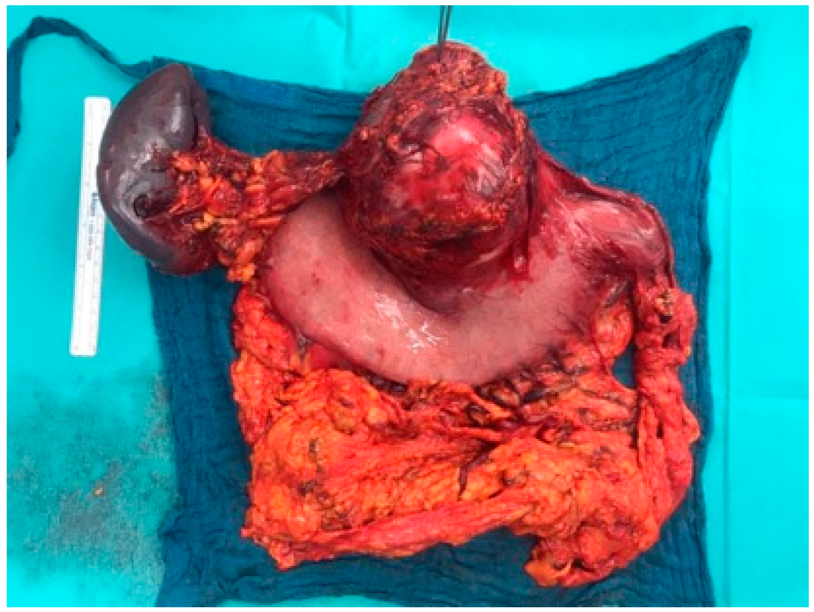 Healthcare 09 00540 g001 Healthcare 09 00540 g001