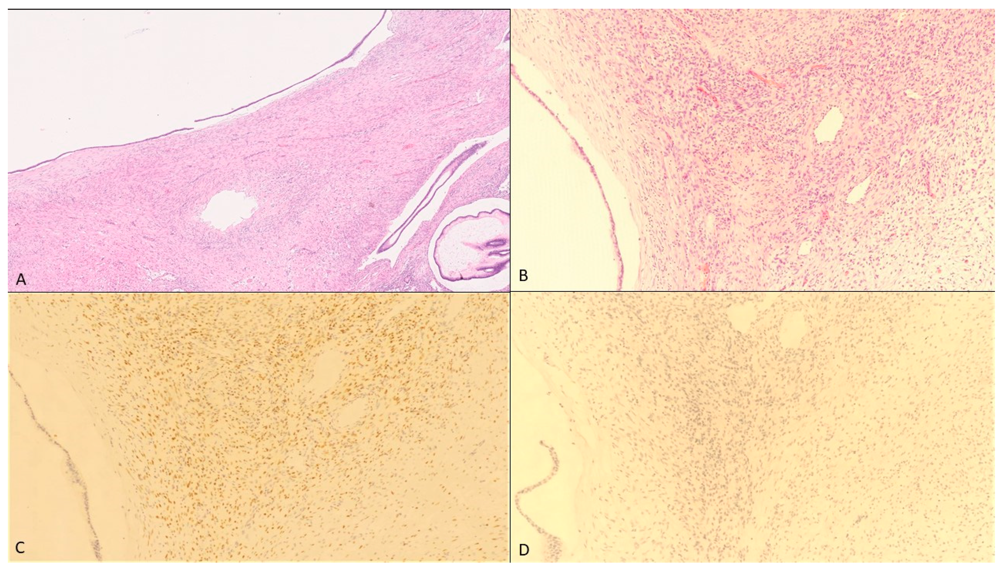 Healthcare 09 00540 g002 Healthcare 09 00540 g002