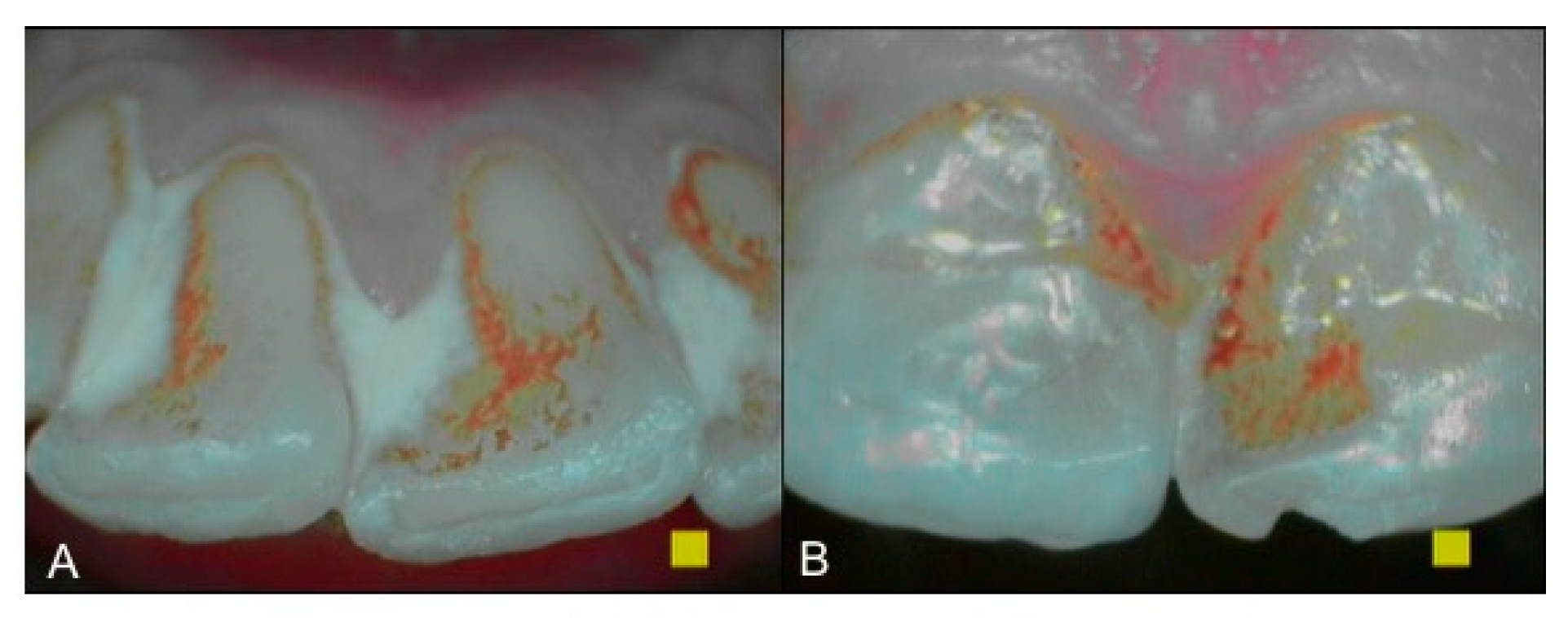 Healthcare 09 00561 g003