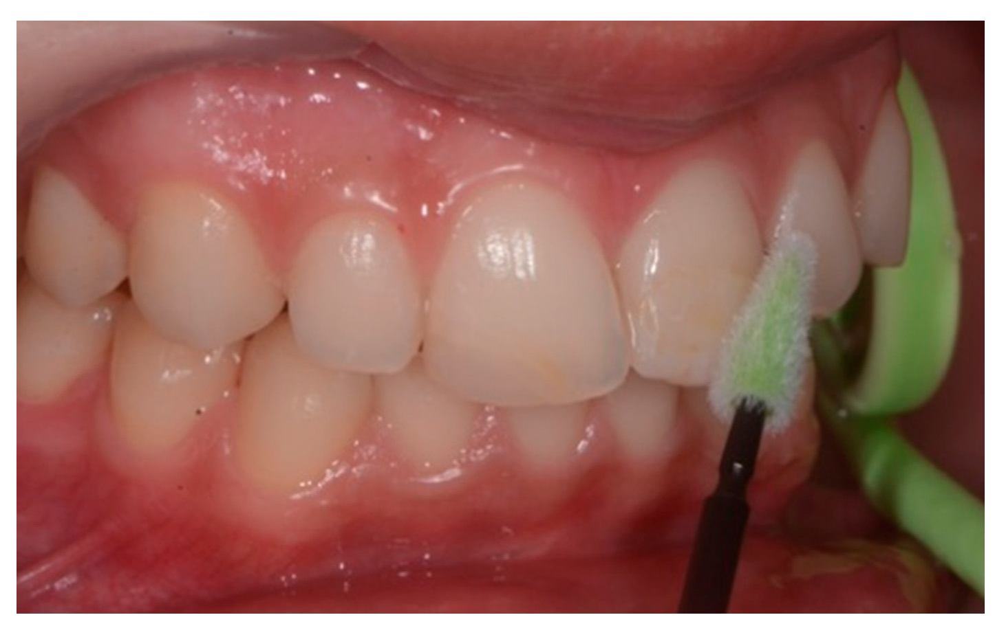 Healthcare 09 00561 g013