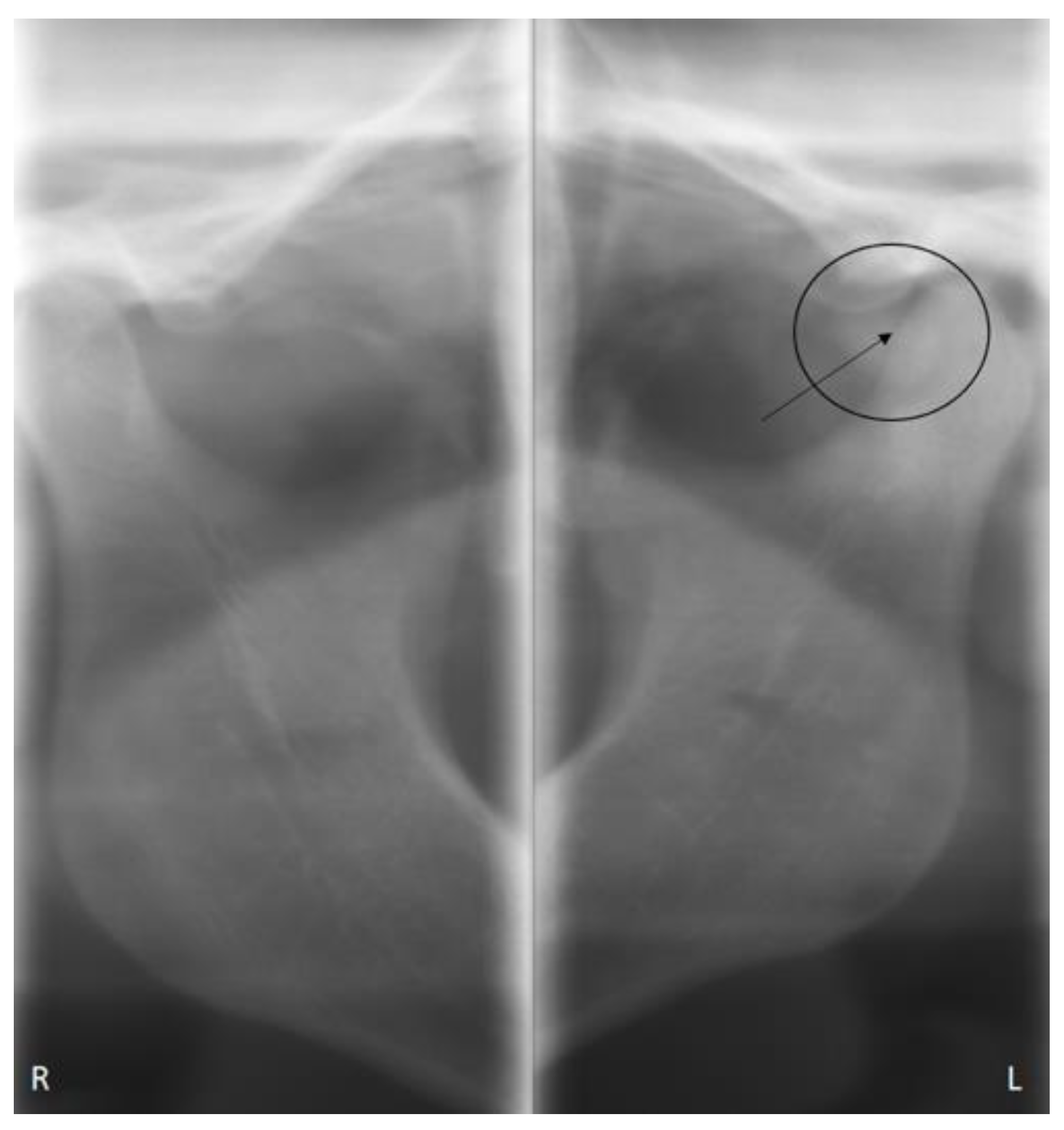 Healthcare 09 00601 g001