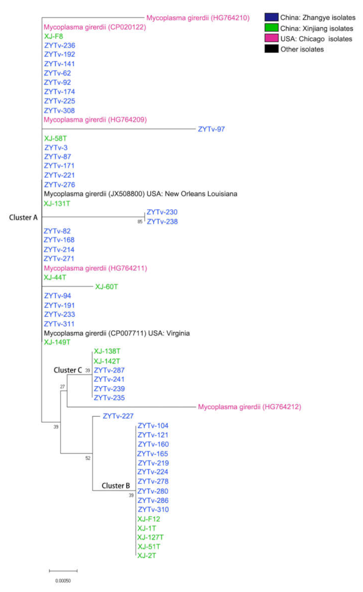 Healthcare 09 00706 g001 Healthcare 09 00706 g001