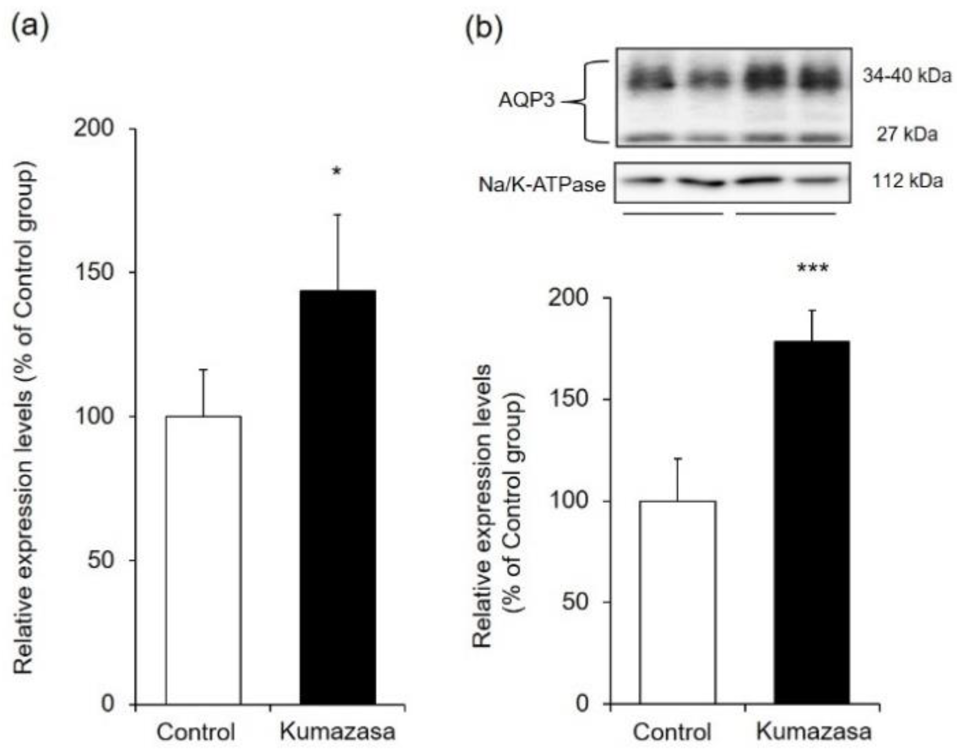 Healthcare 09 00761 g003