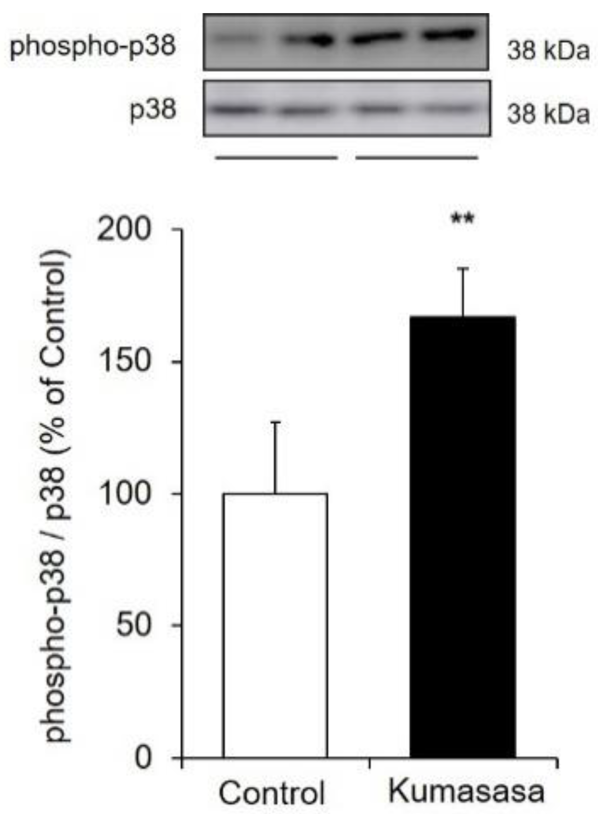 Healthcare 09 00761 g007