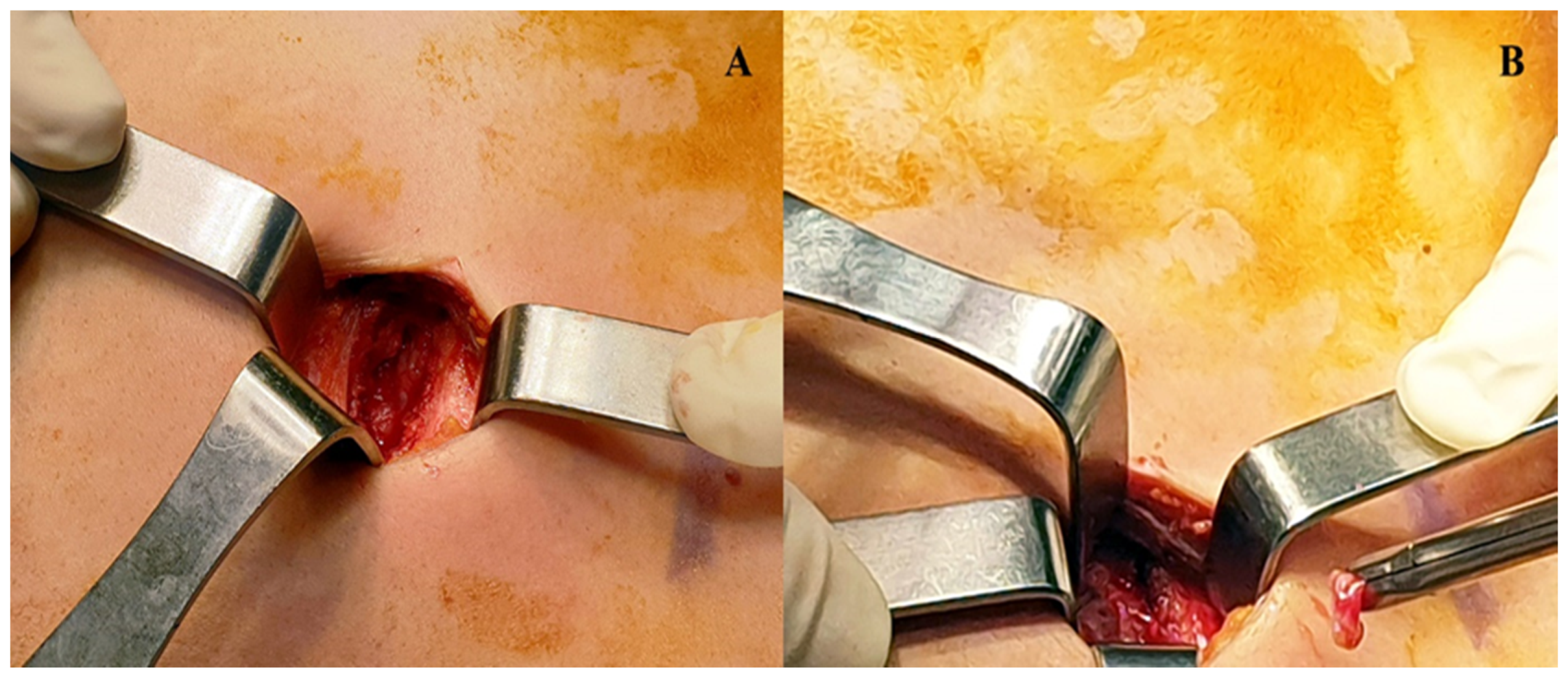 Healthcare 09 00770 g001