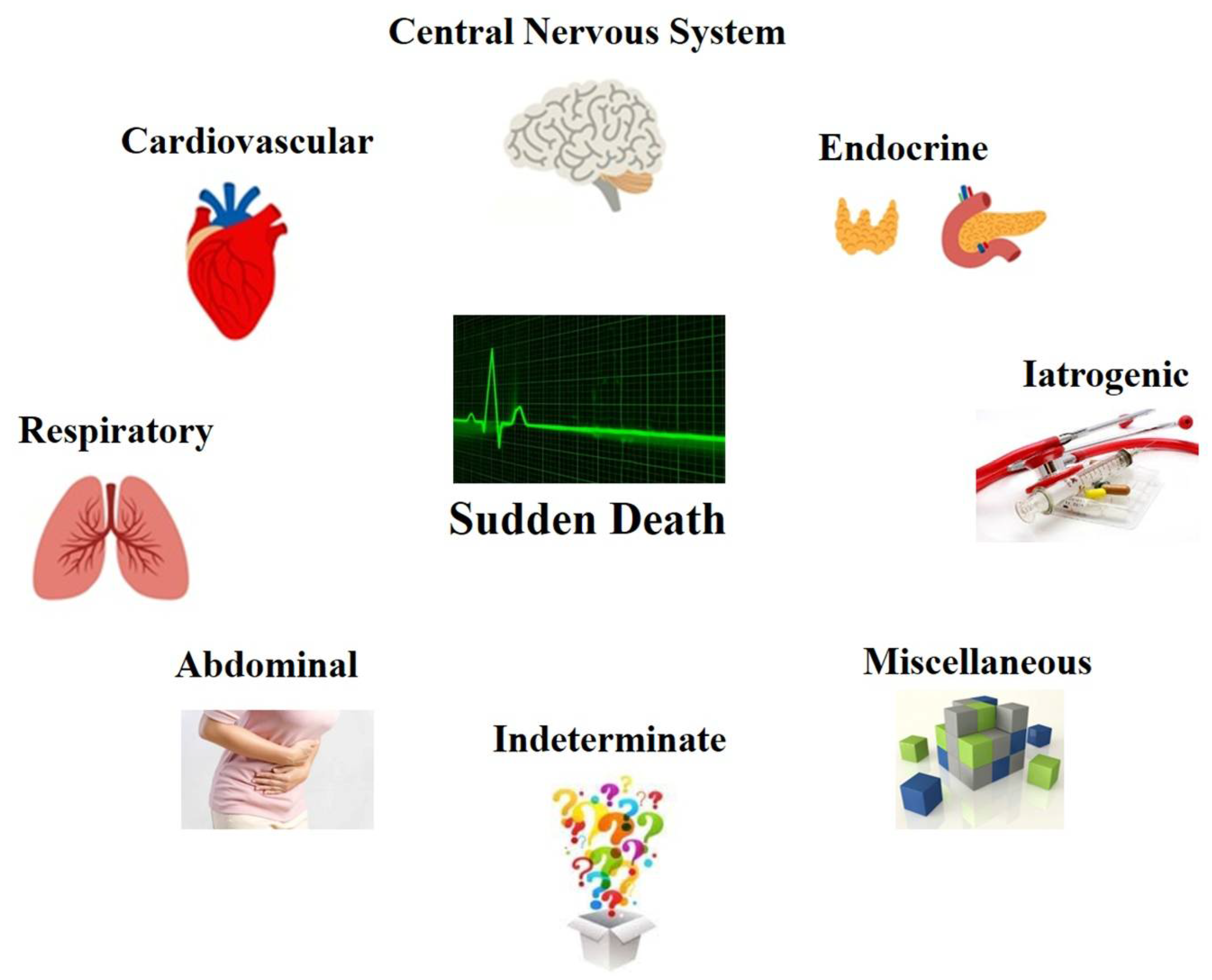 Healthcare Free Full Text Sudden Death In Adults A Practical Flow healthcare-free-full-text-sudden-death-in-adults-a-practical-flow