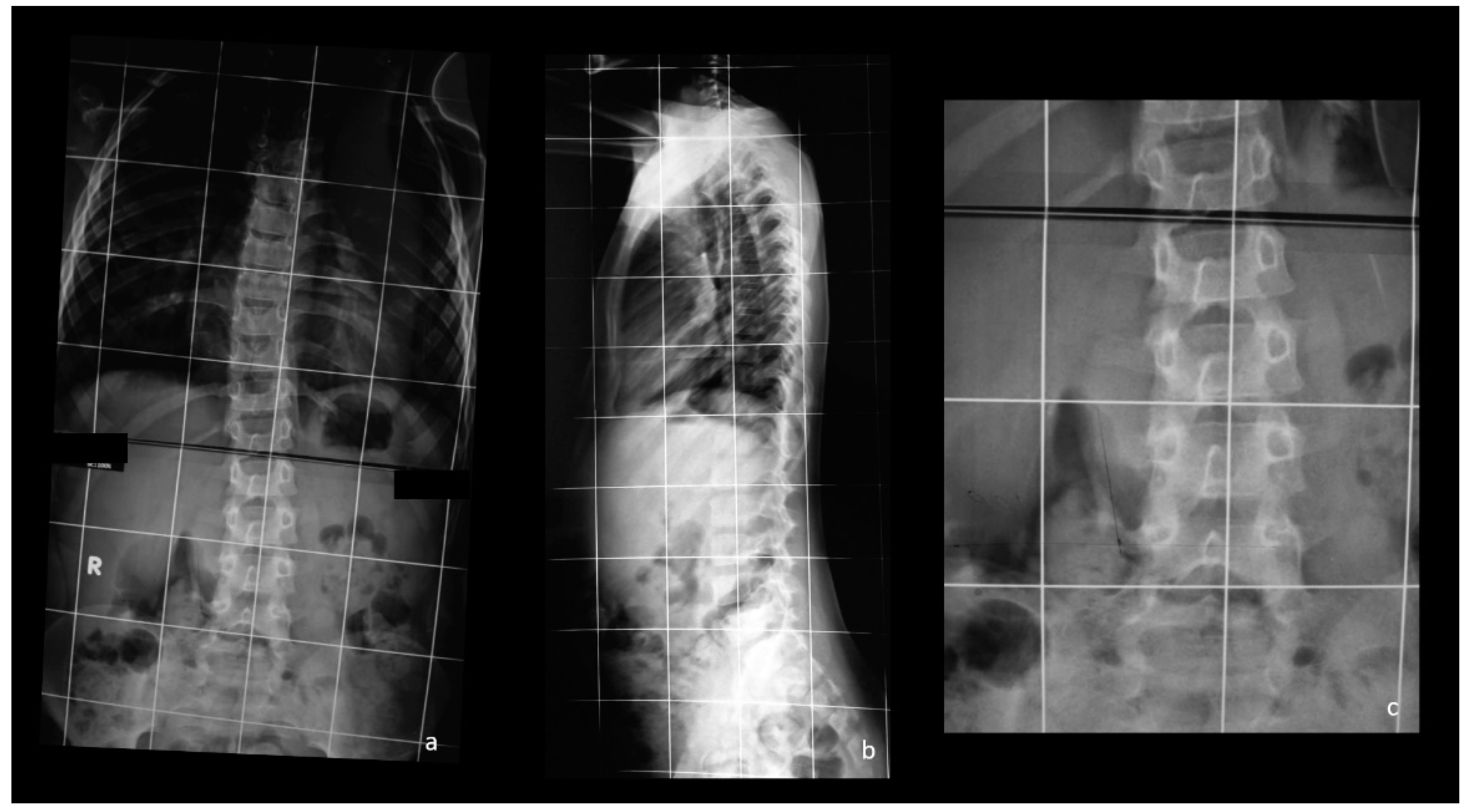 Healthcare 09 00881 g003 Healthcare 09 00881 g003