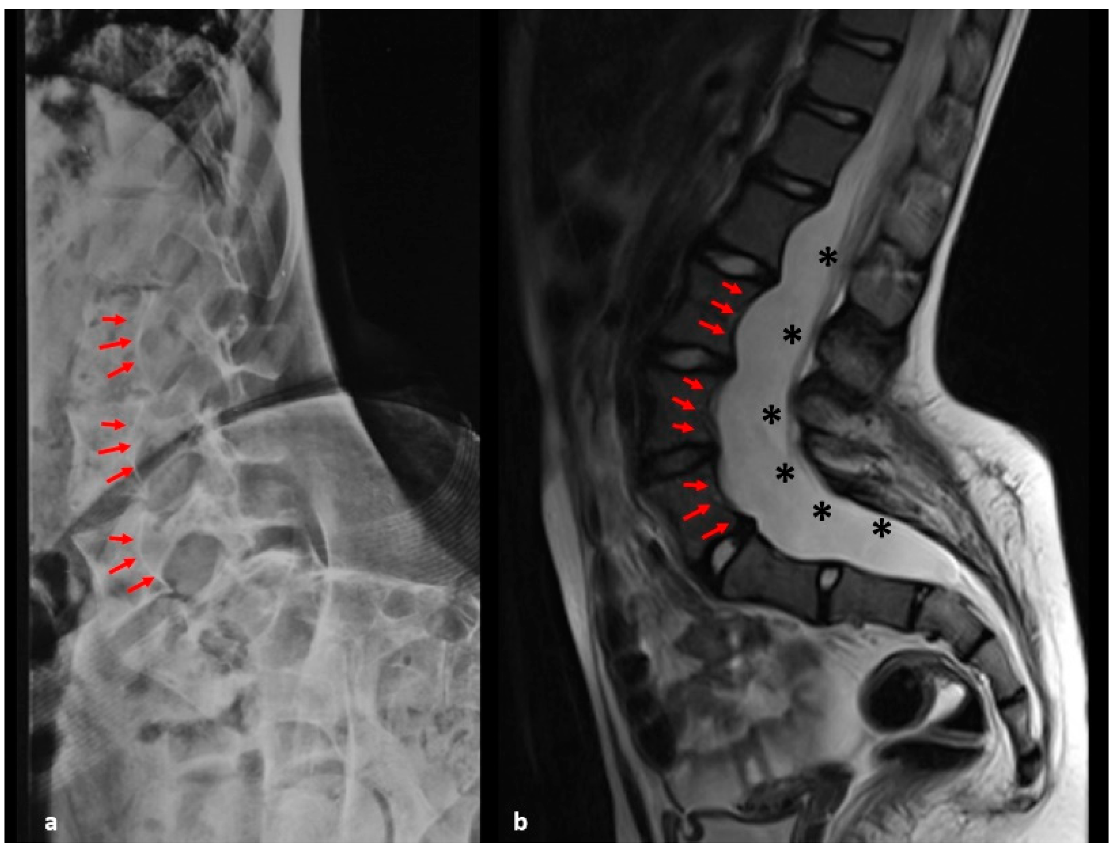 Healthcare 09 00881 g004 Healthcare 09 00881 g004