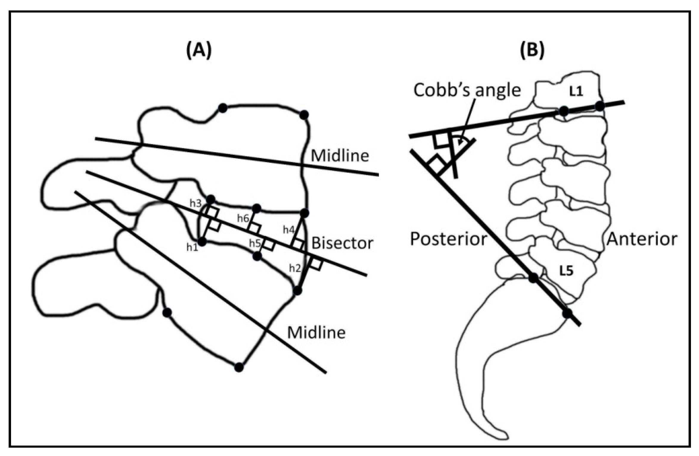 Healthcare 09 00900 g003