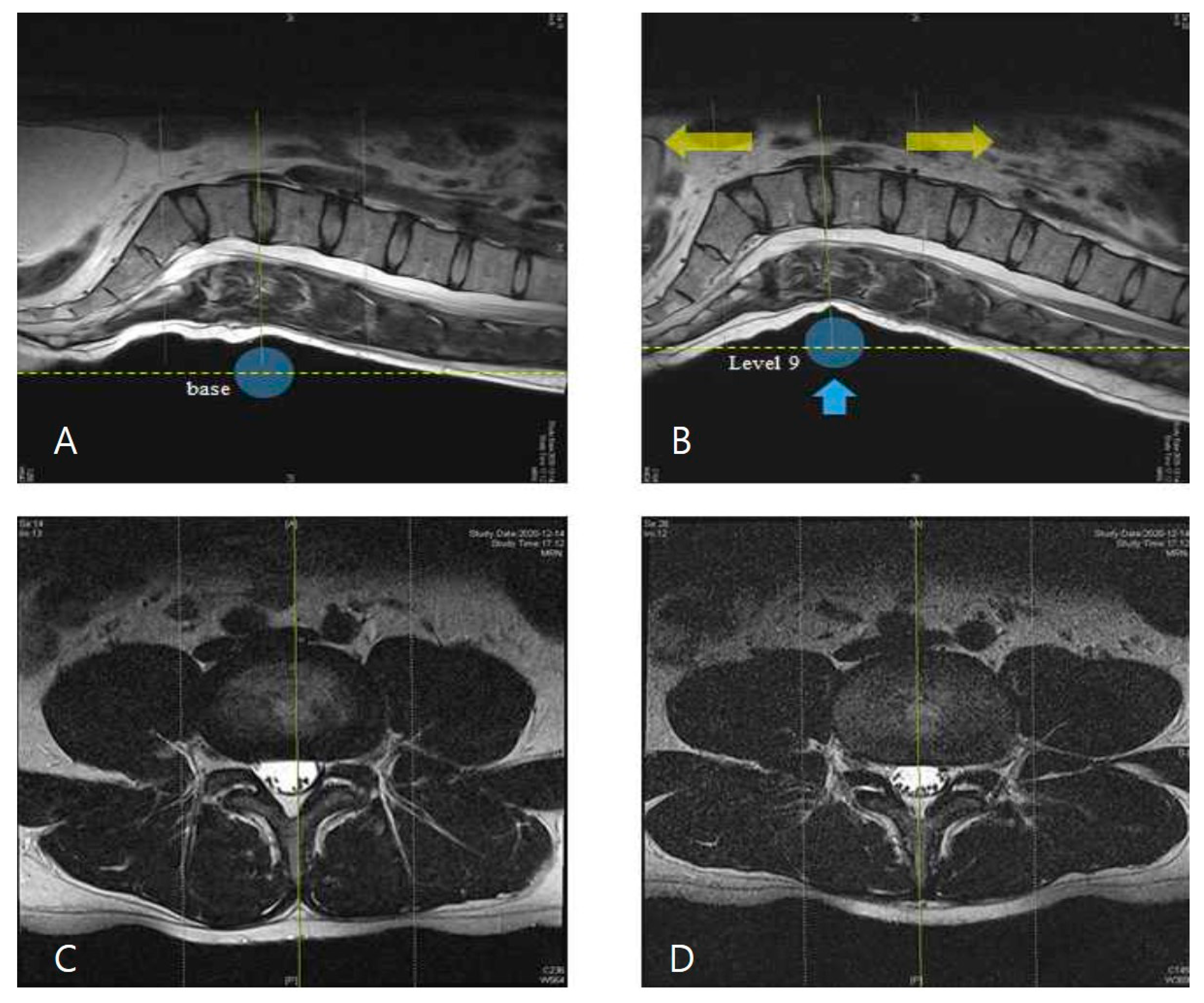 Healthcare 09 00900 g004