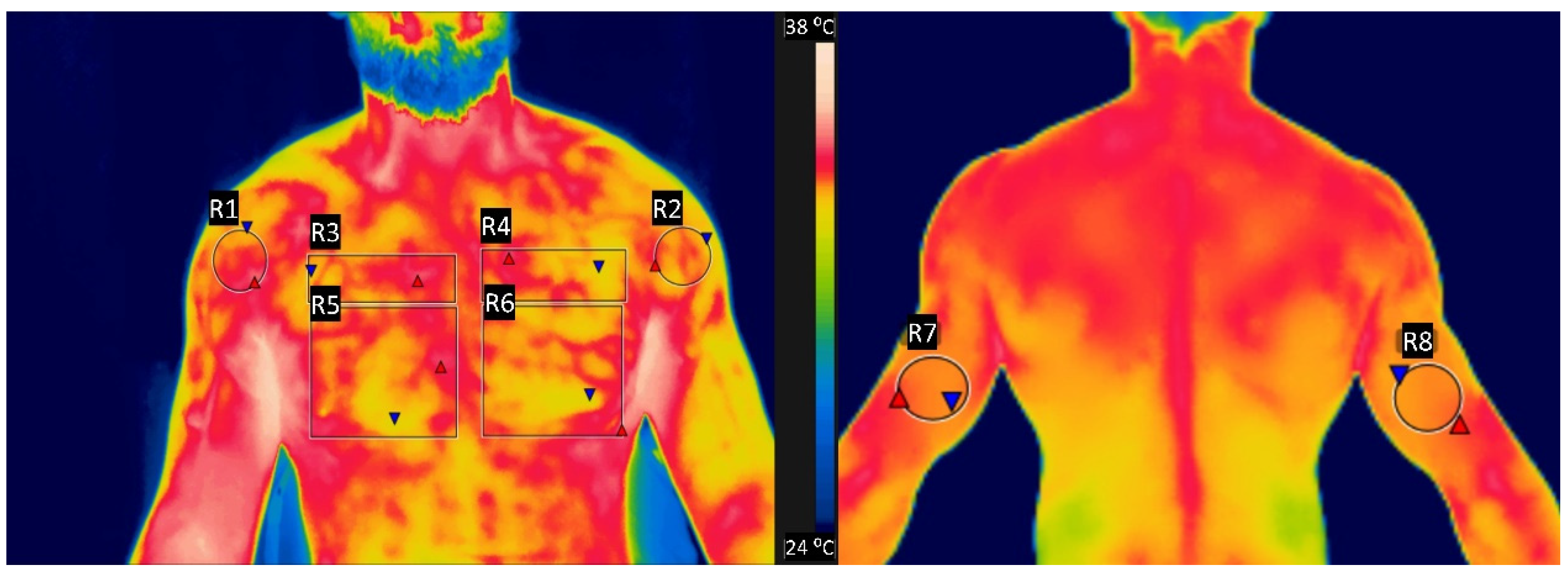 Healthcare 09 00923 g002