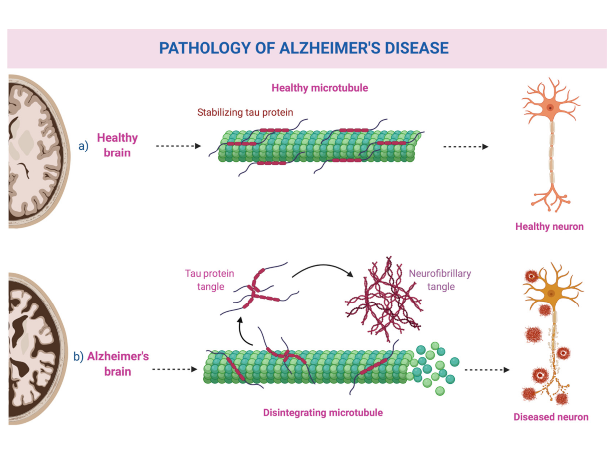 Healthcare 09 00949 g001 550