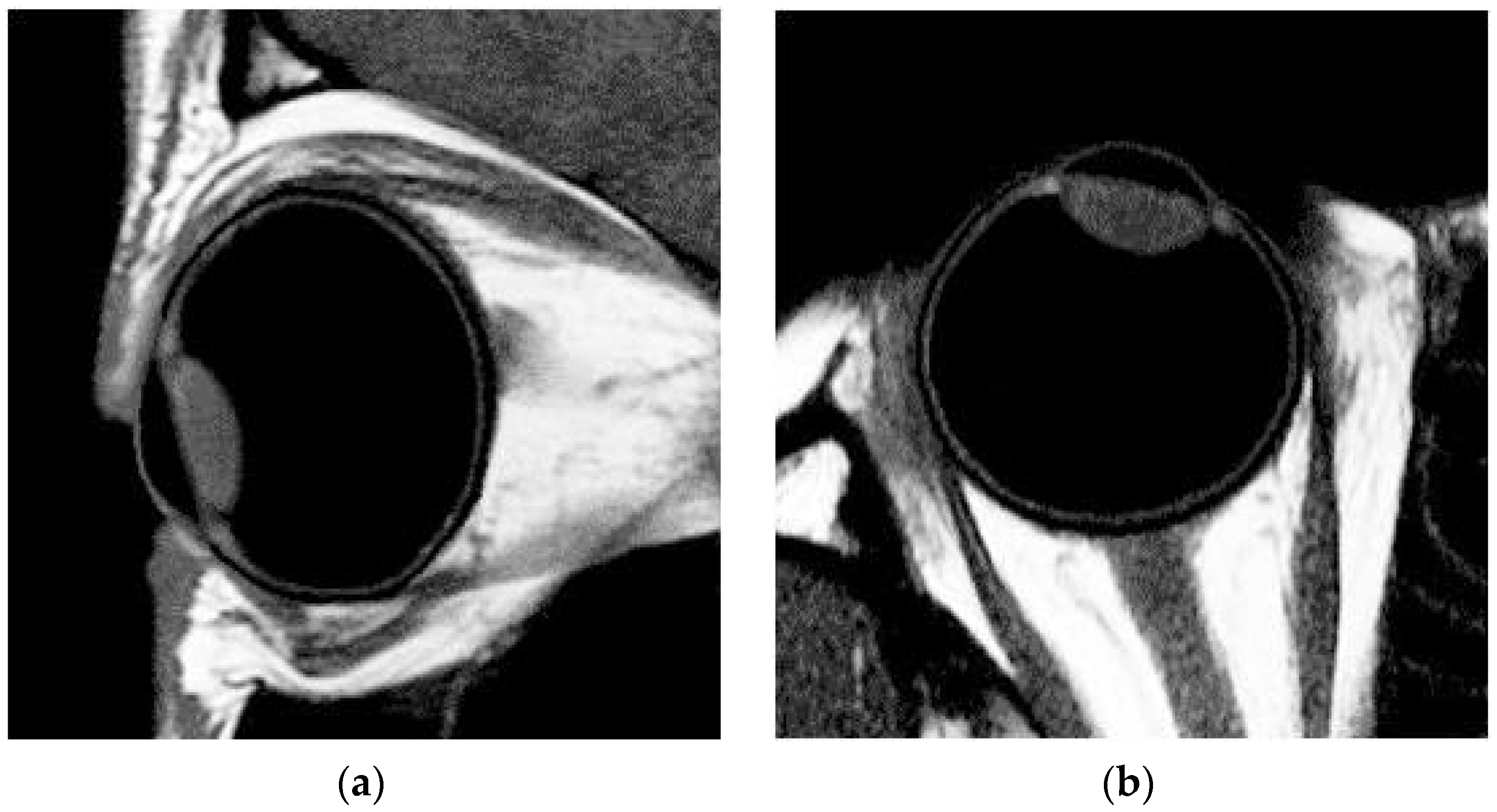 Healthcare 09 00966 g001a 550