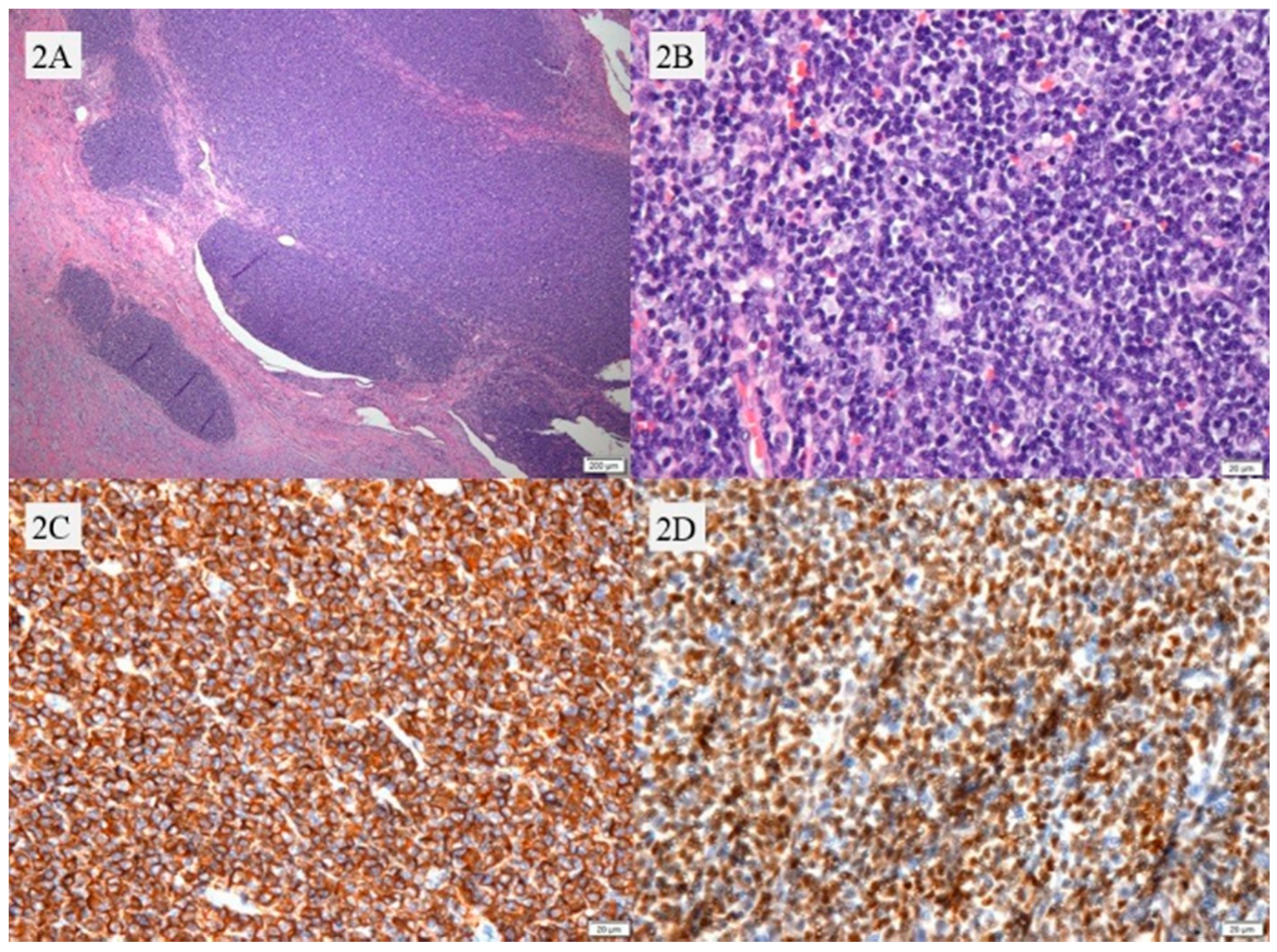 Healthcare 09 01000 g002 Healthcare 09 01000 g002