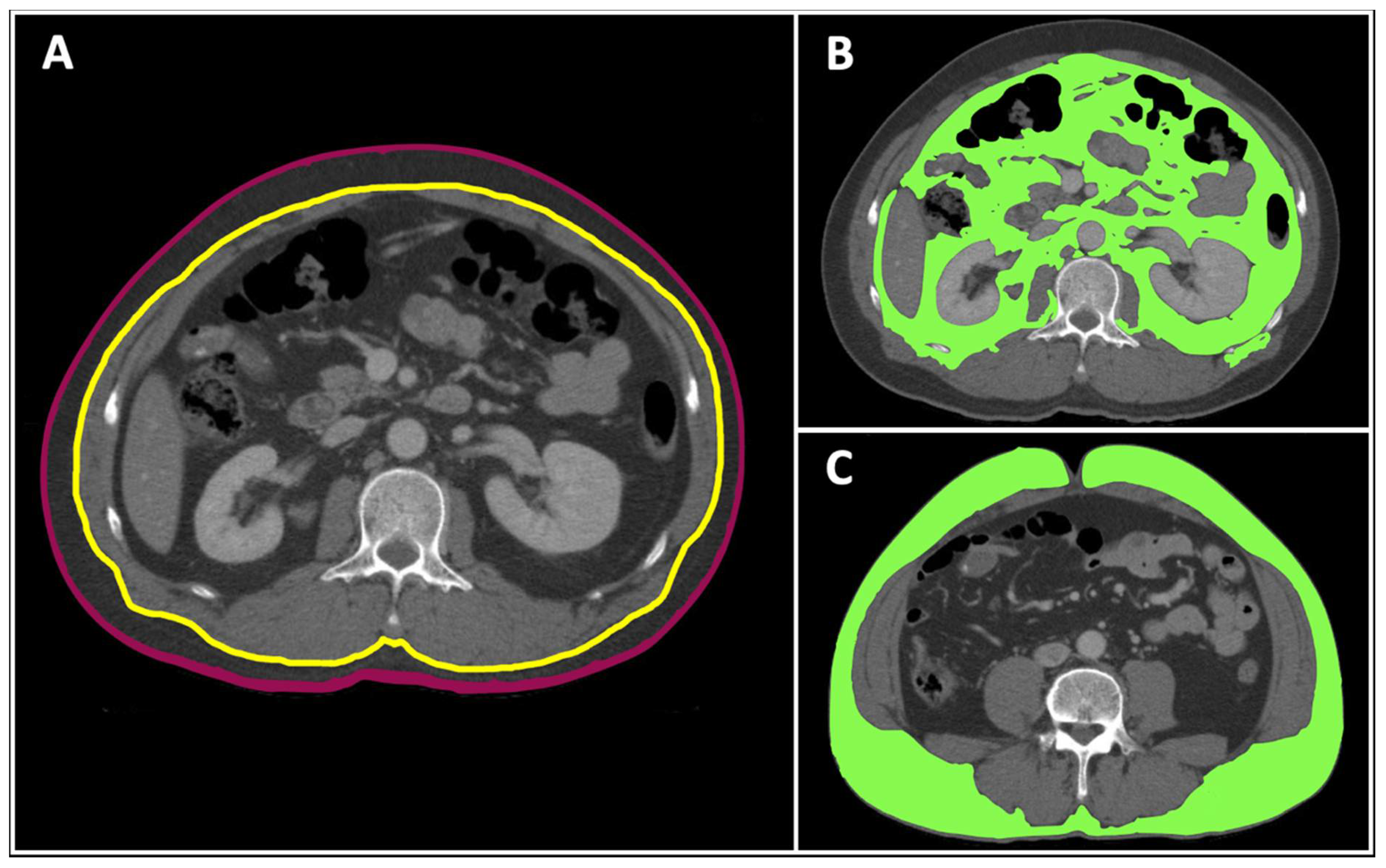 Healthcare 09 01006 g001