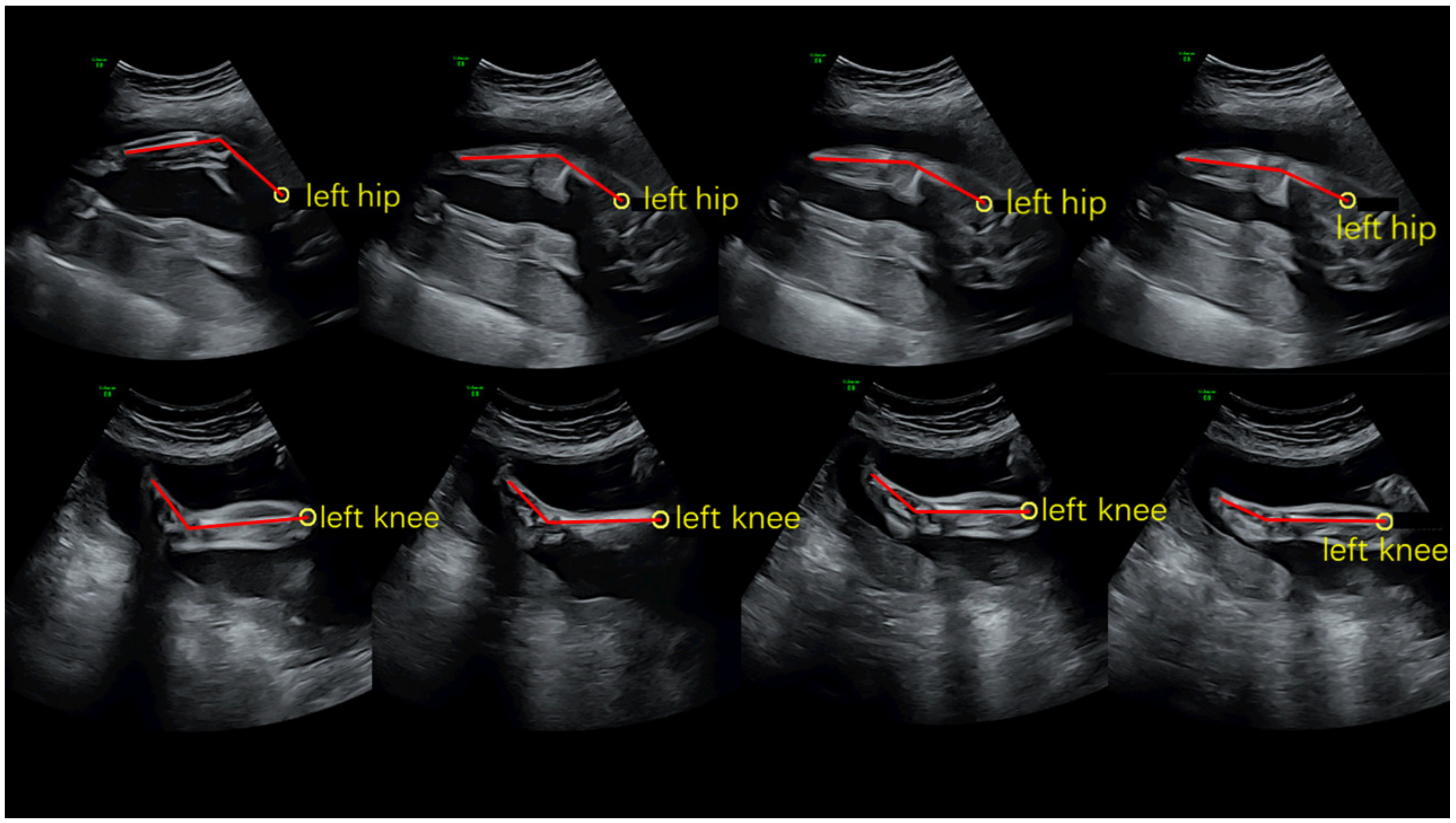 Healthcare 09 01057 g001 550