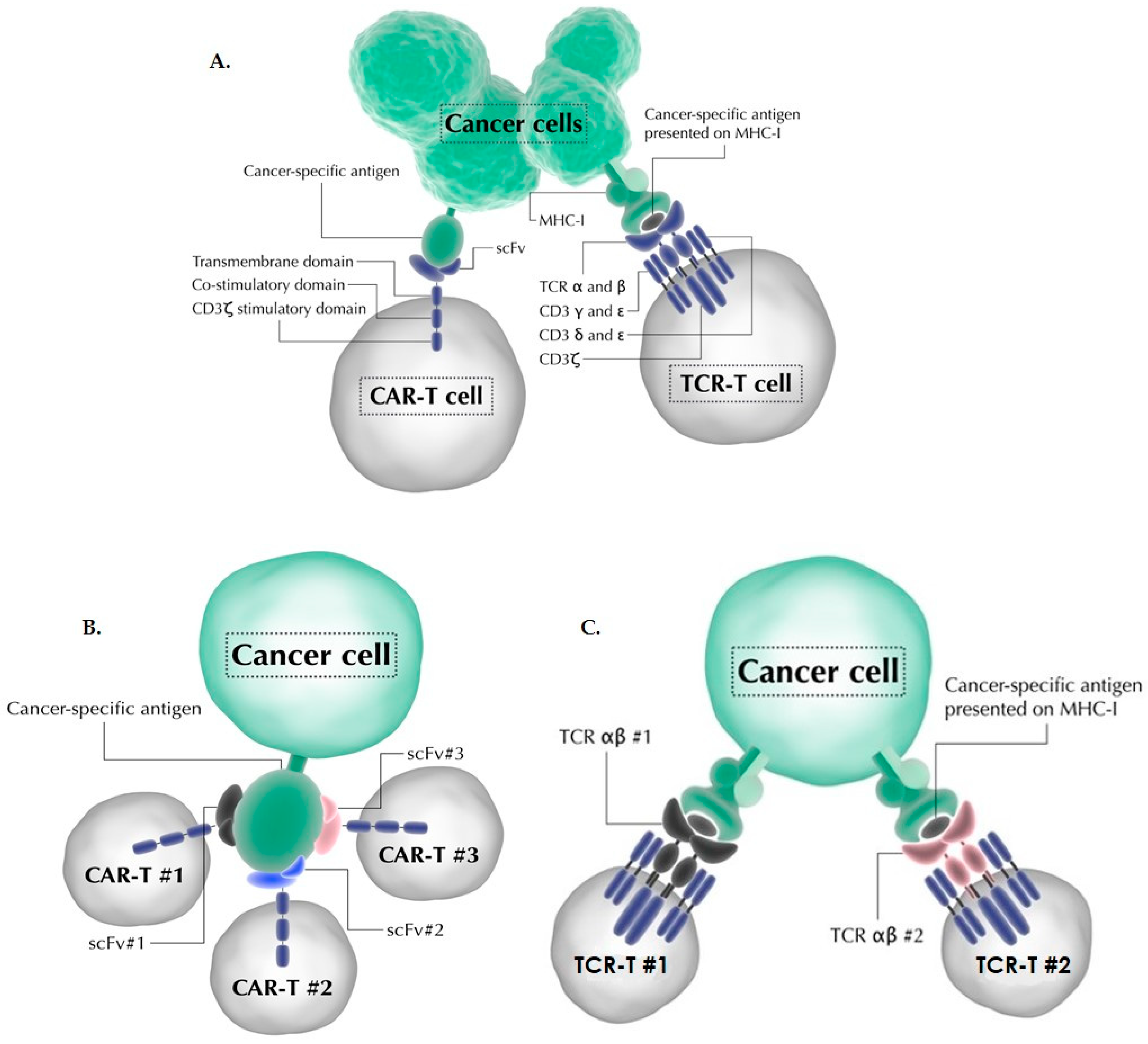 Healthcare 09 01062 g001 550