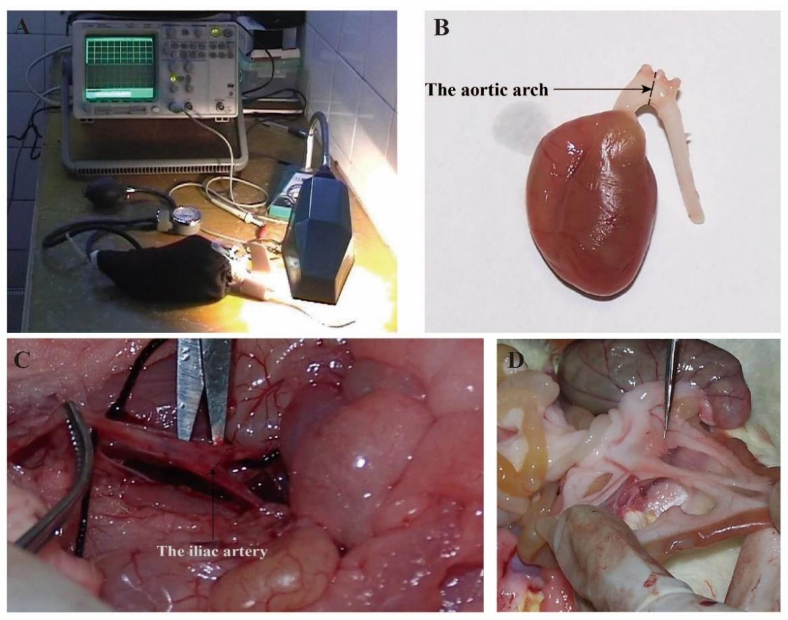 Healthcare 09 01066 g001 550