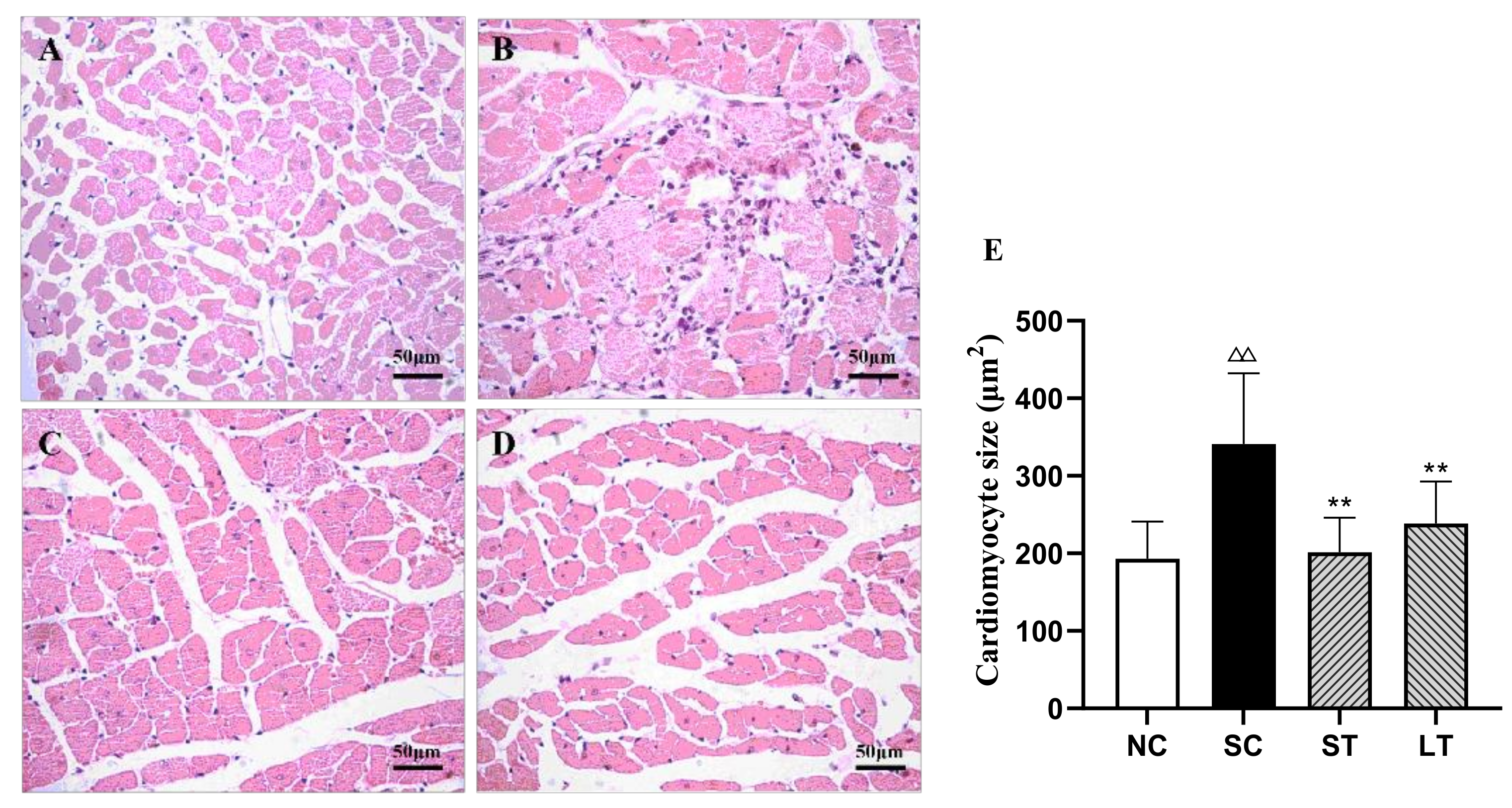Healthcare 09 01066 g002 550