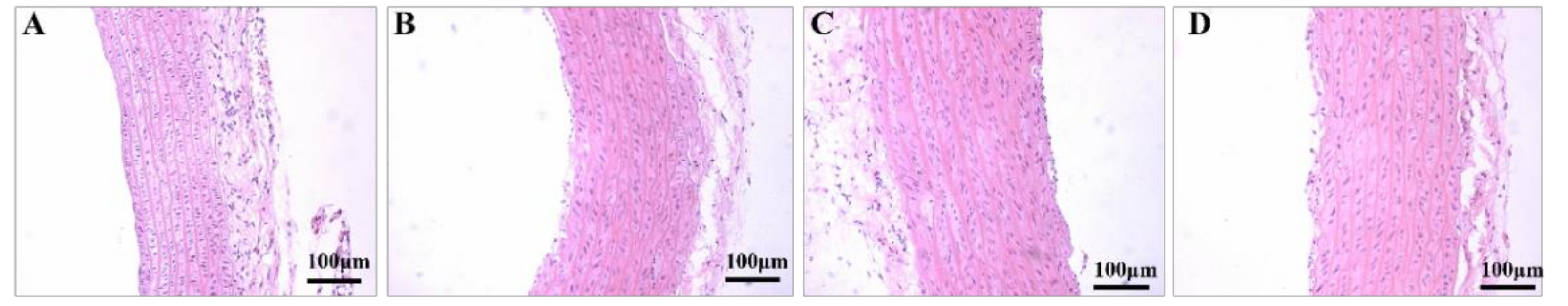 Healthcare 09 01066 g003 550