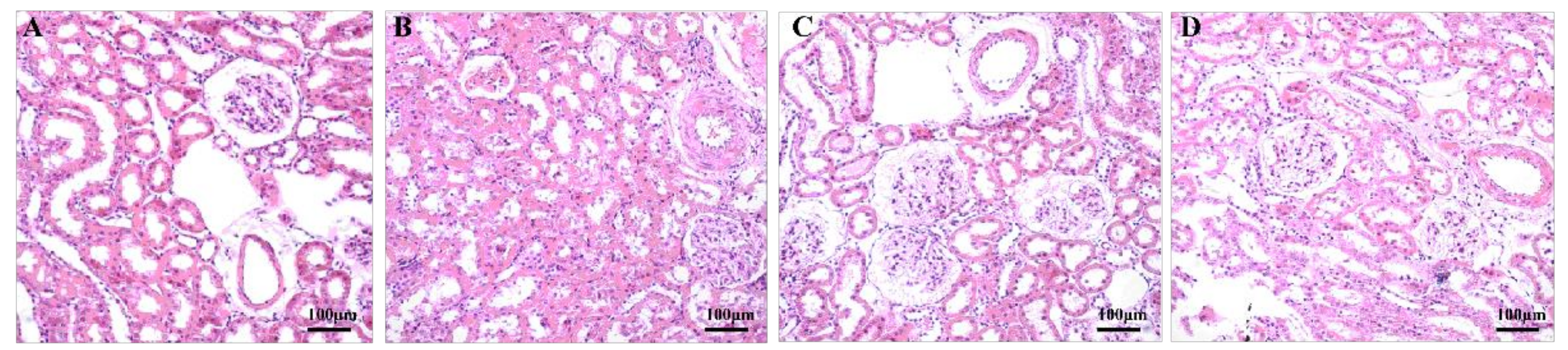 Healthcare 09 01066 g004 550