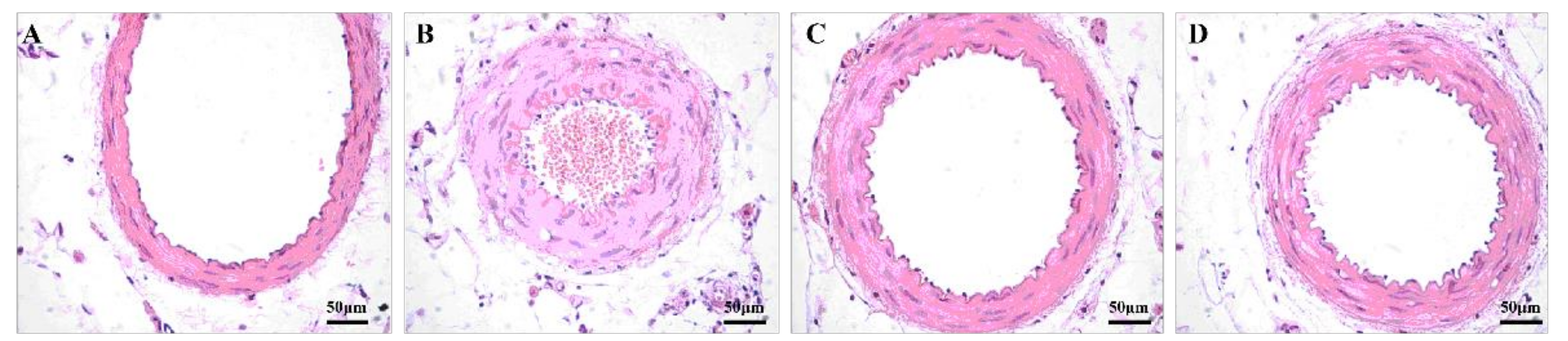 Healthcare 09 01066 g006 550