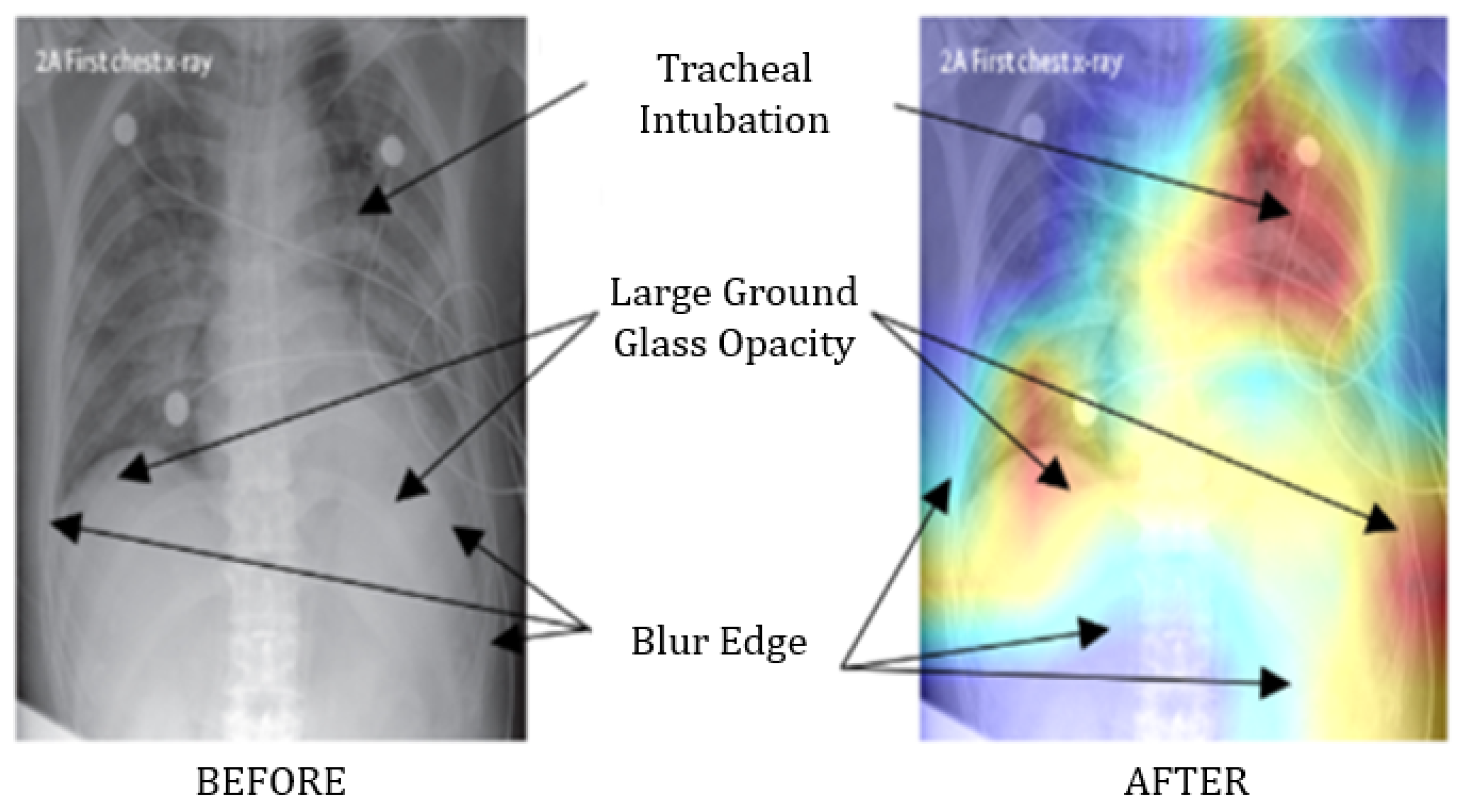 Healthcare 09 01099 g002 550