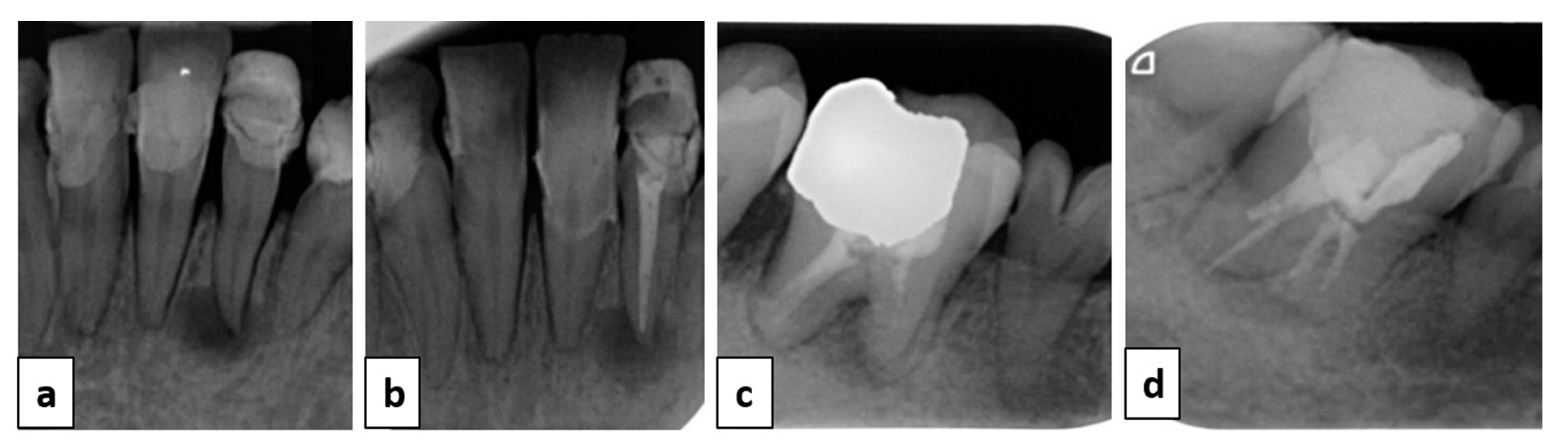 Healthcare 09 01180 g003