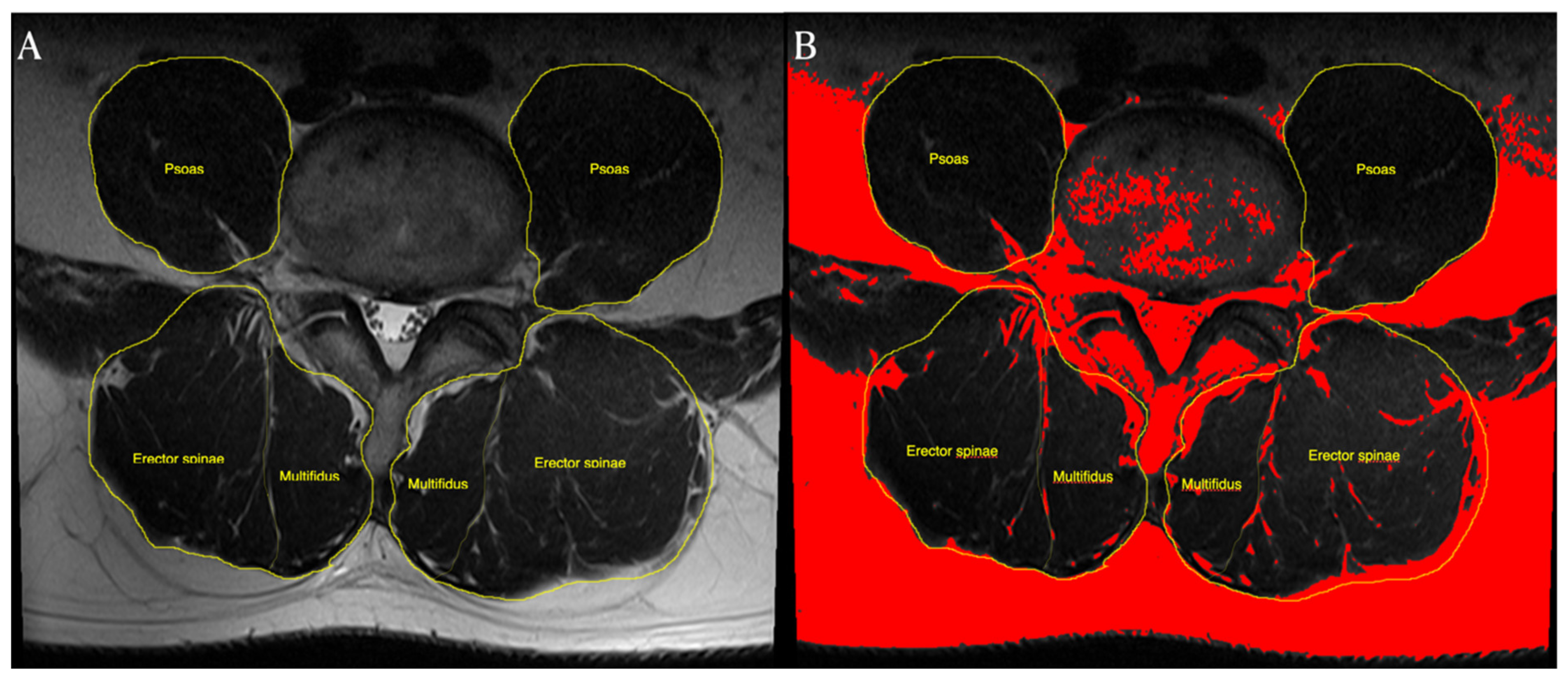 Healthcare 09 01189 g002 550