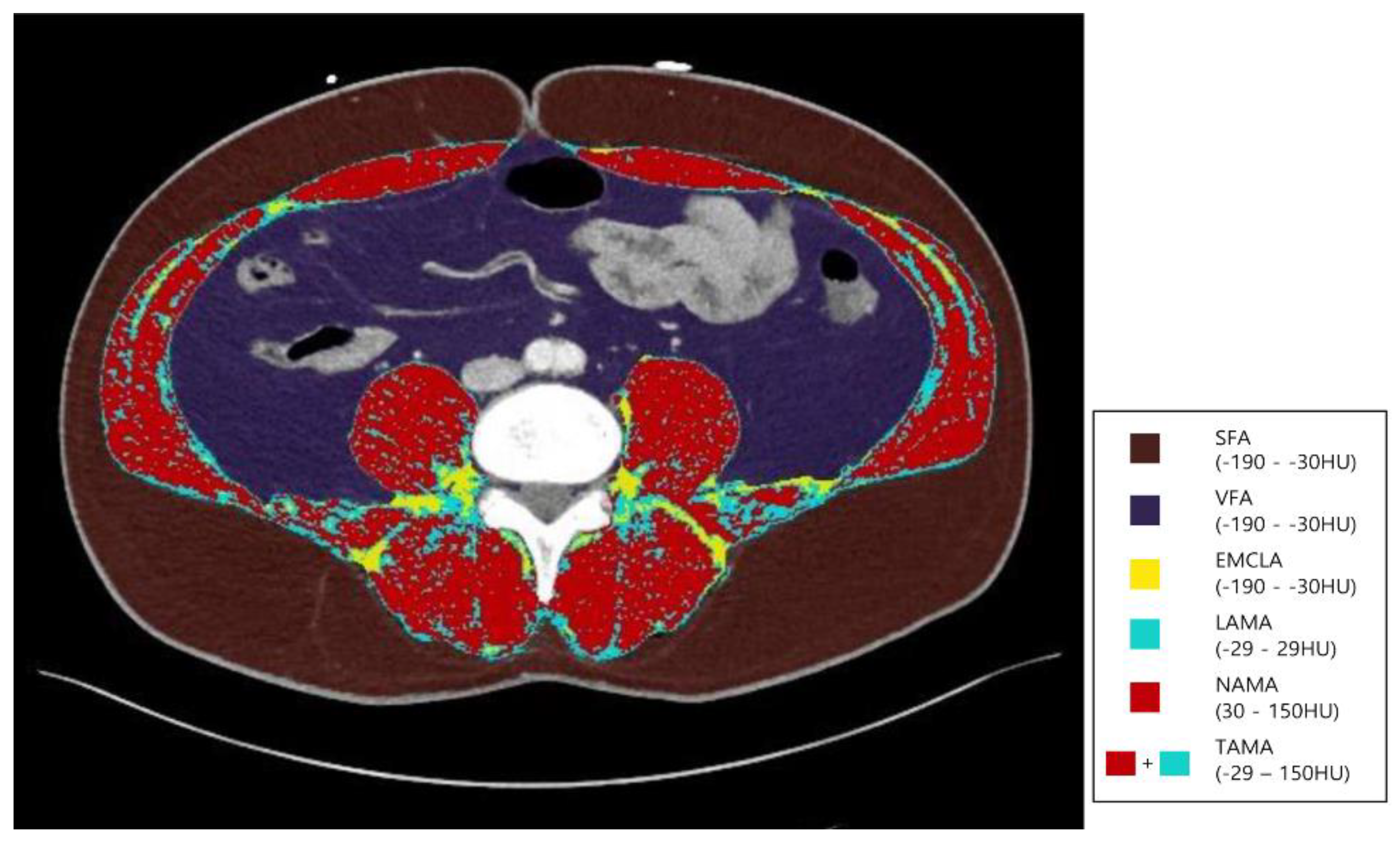 Healthcare 09 01197 g002
