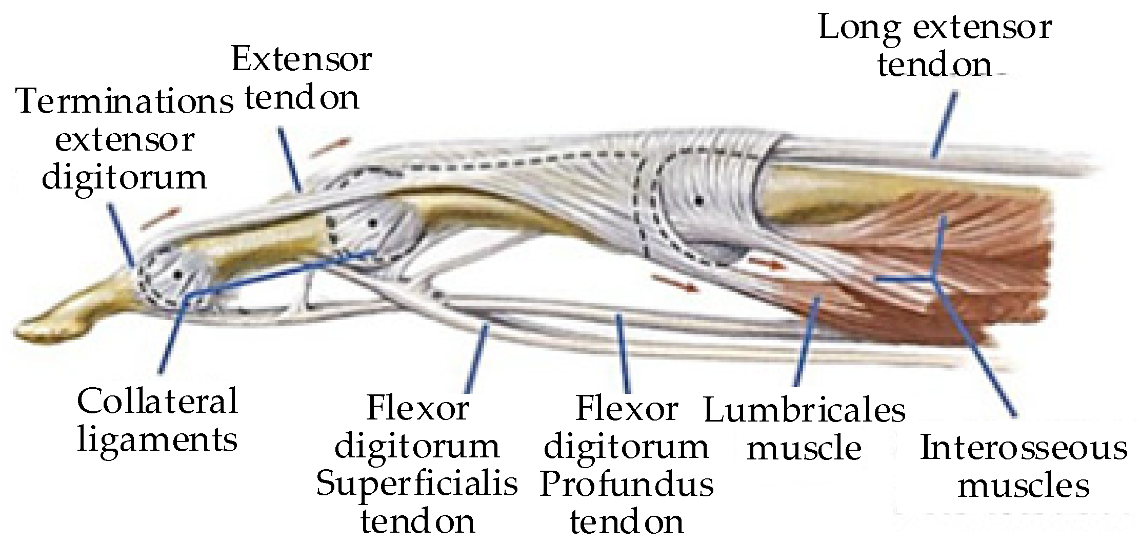 Healthcare 09 01251 g007