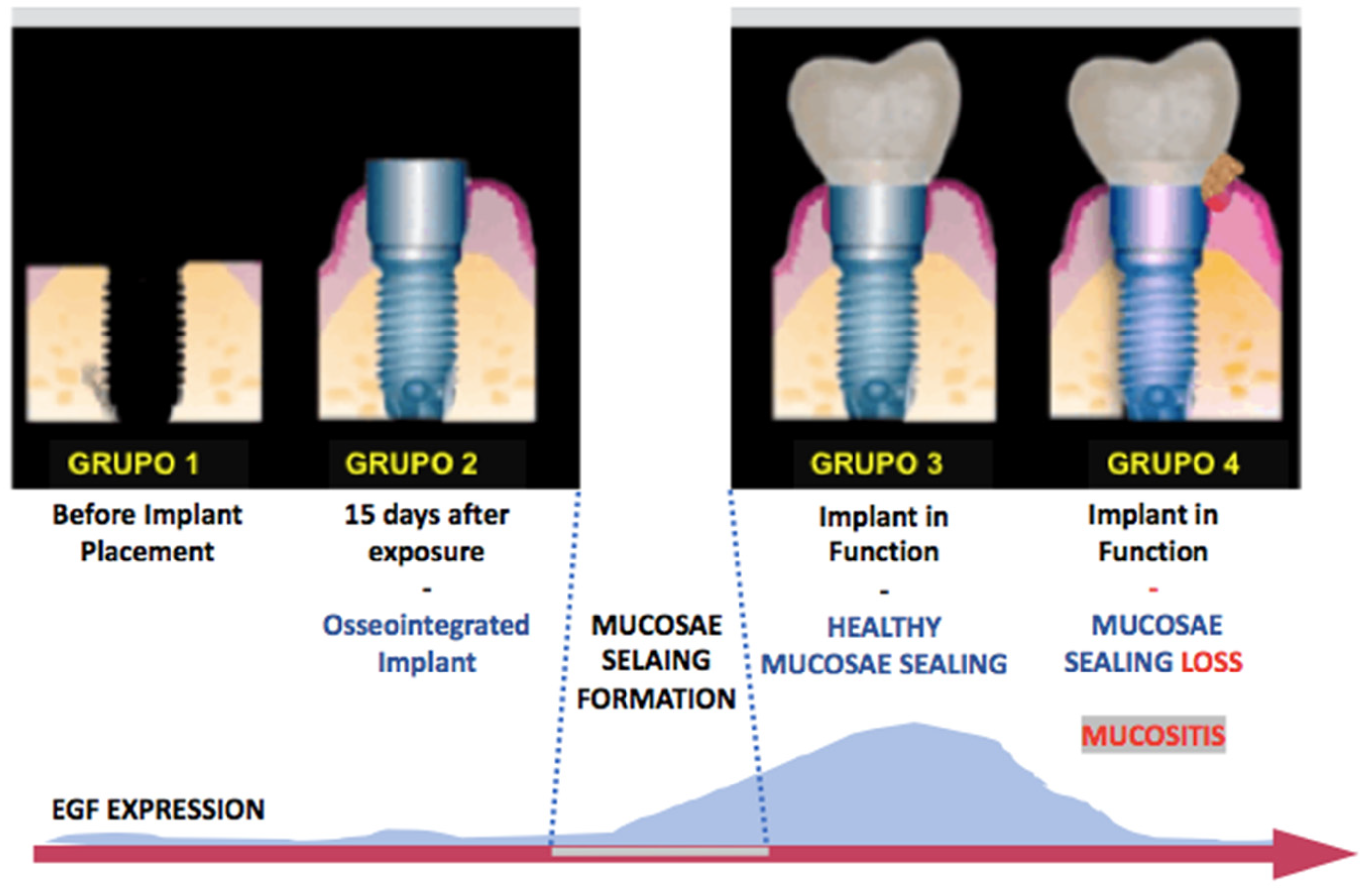 Healthcare 09 01277 g005