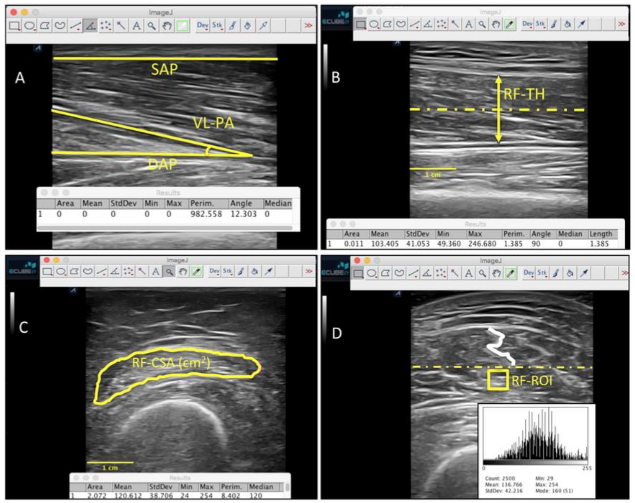 Healthcare 09 01279 g002