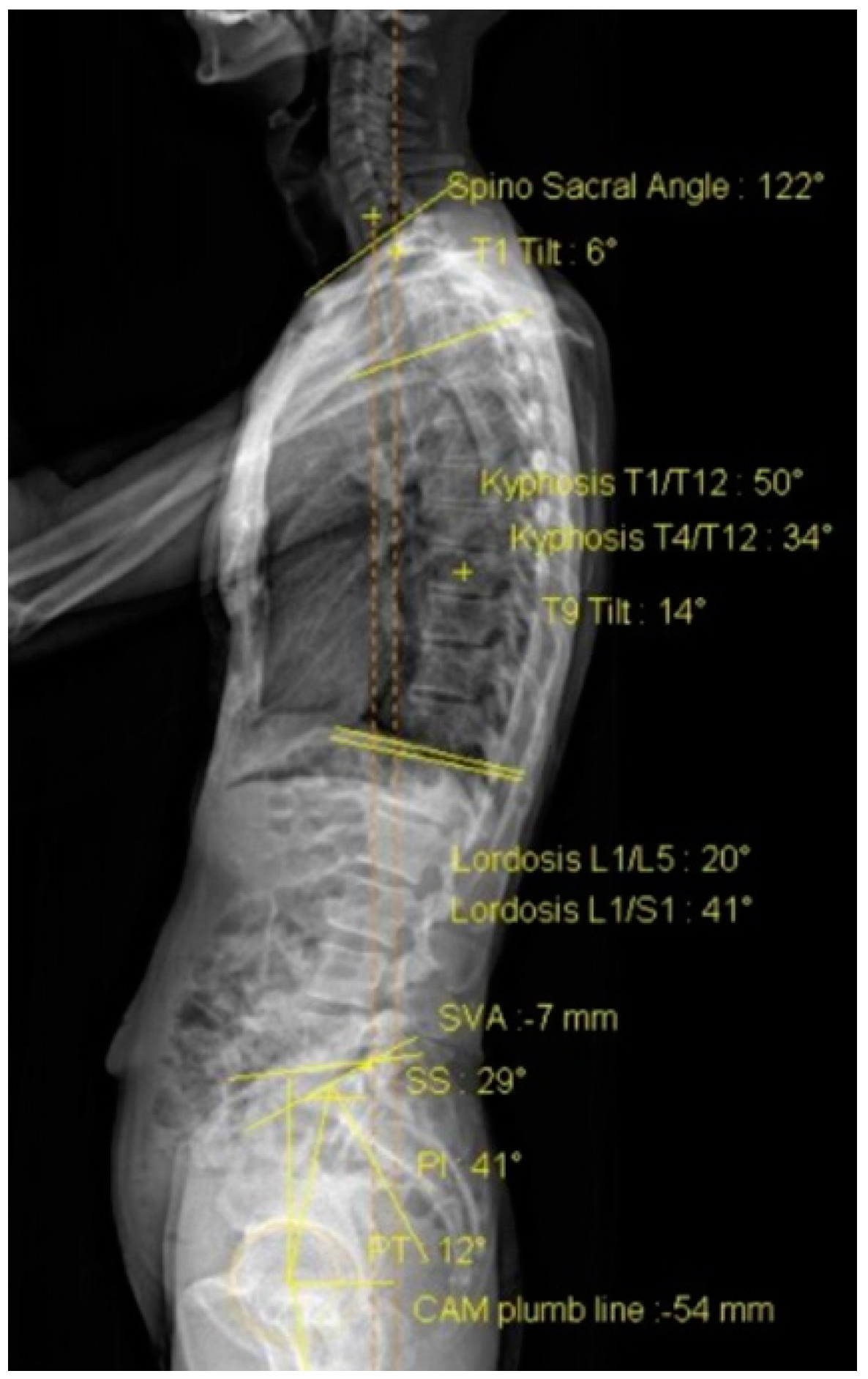 Healthcare 09 01303 g003