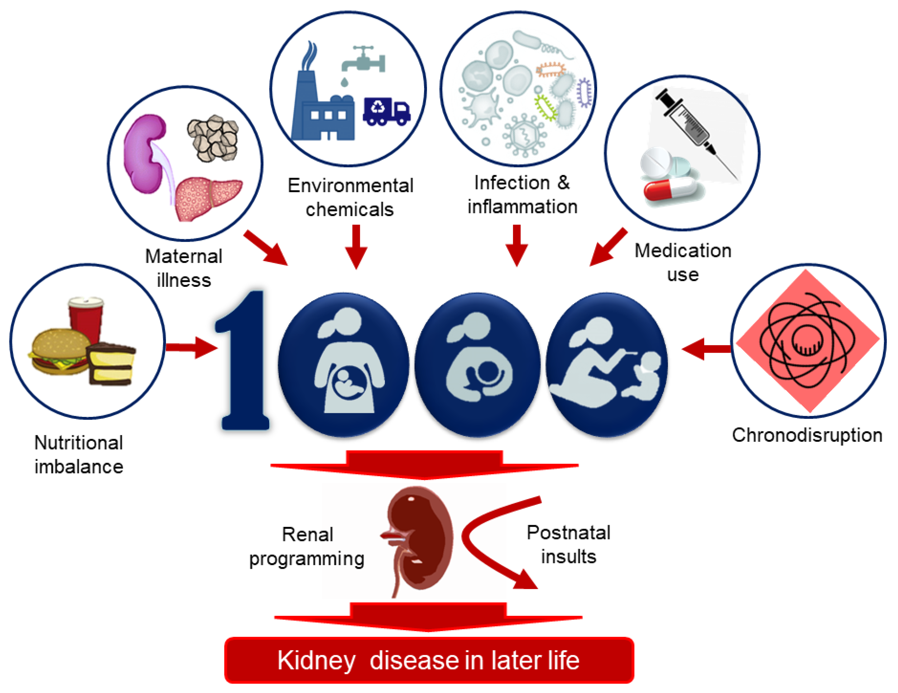 Healthcare 09 01332 g002 Healthcare 09 01332 g002