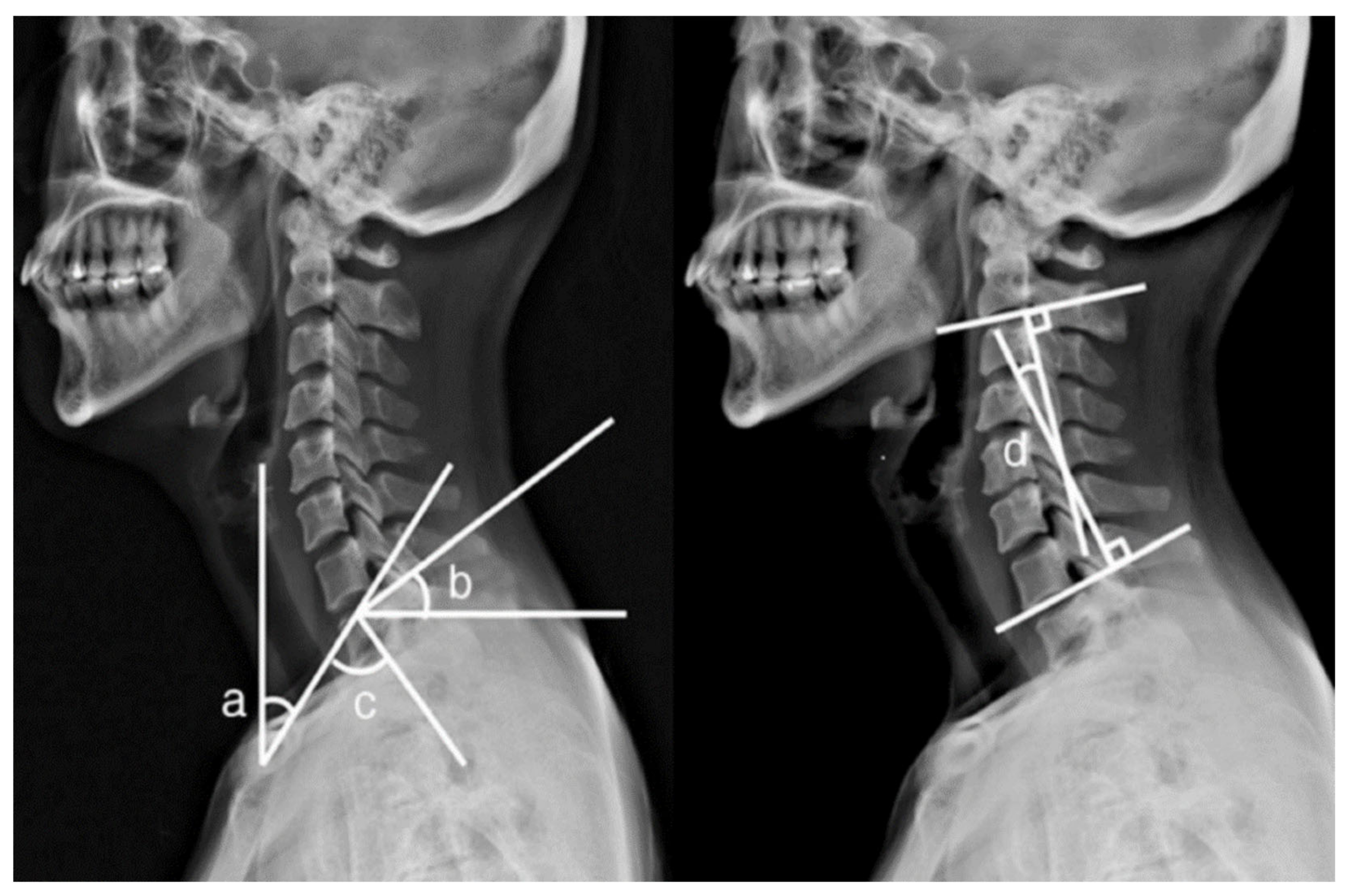 Healthcare 09 01333 g002