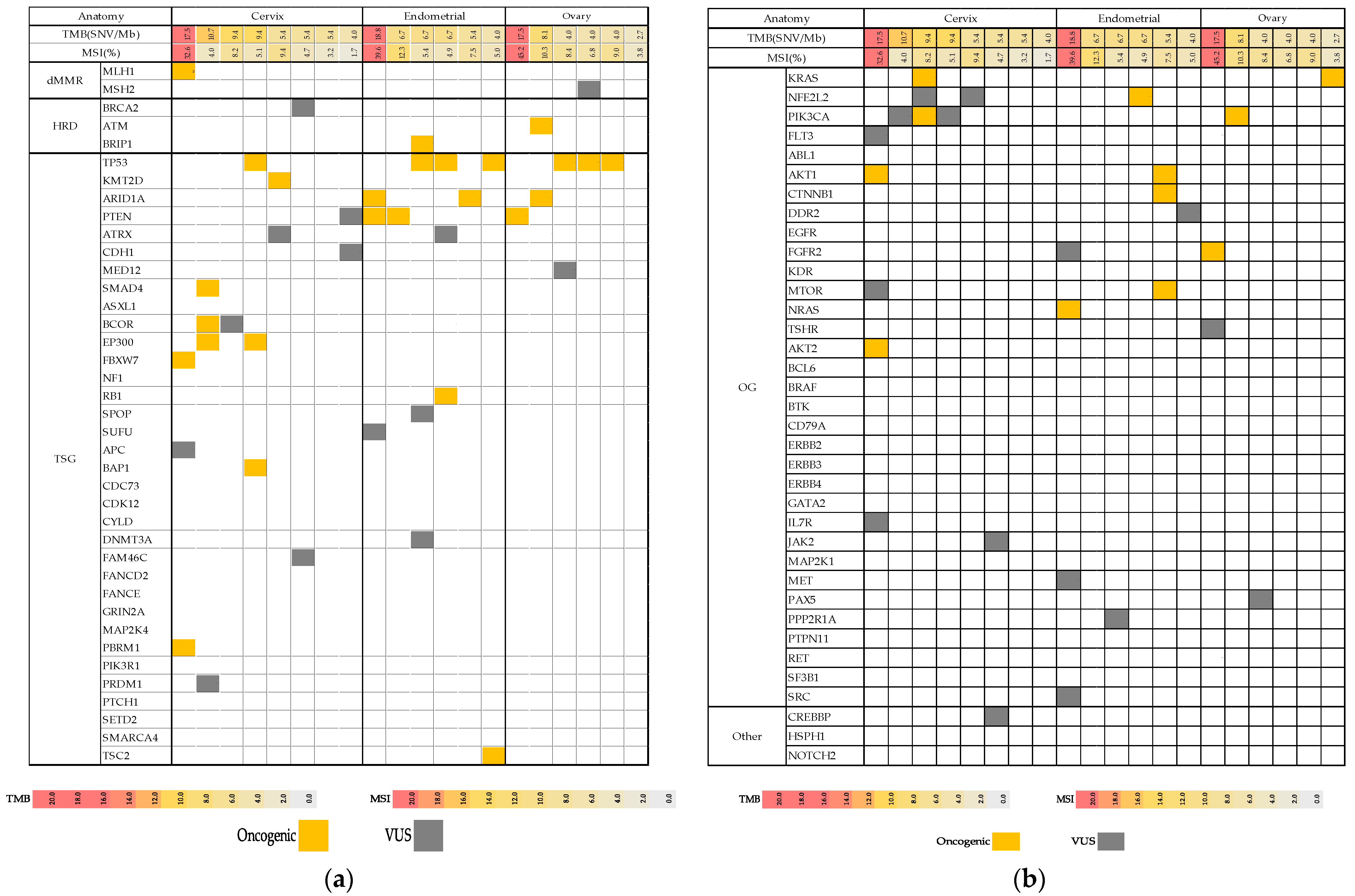 Healthcare 09 01395 g001a 550