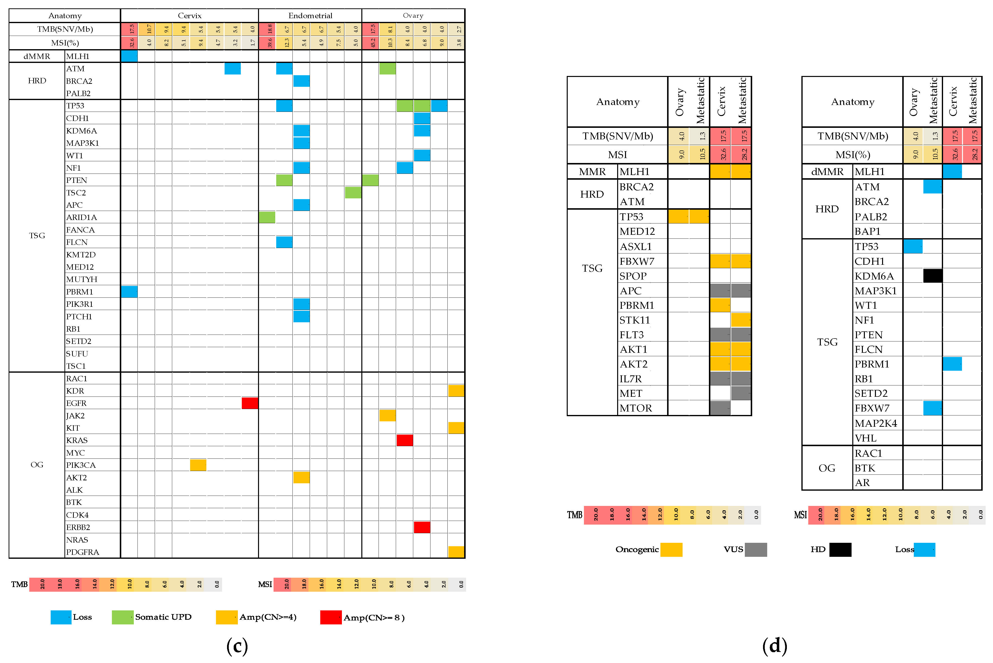 Healthcare 09 01395 g001b 550