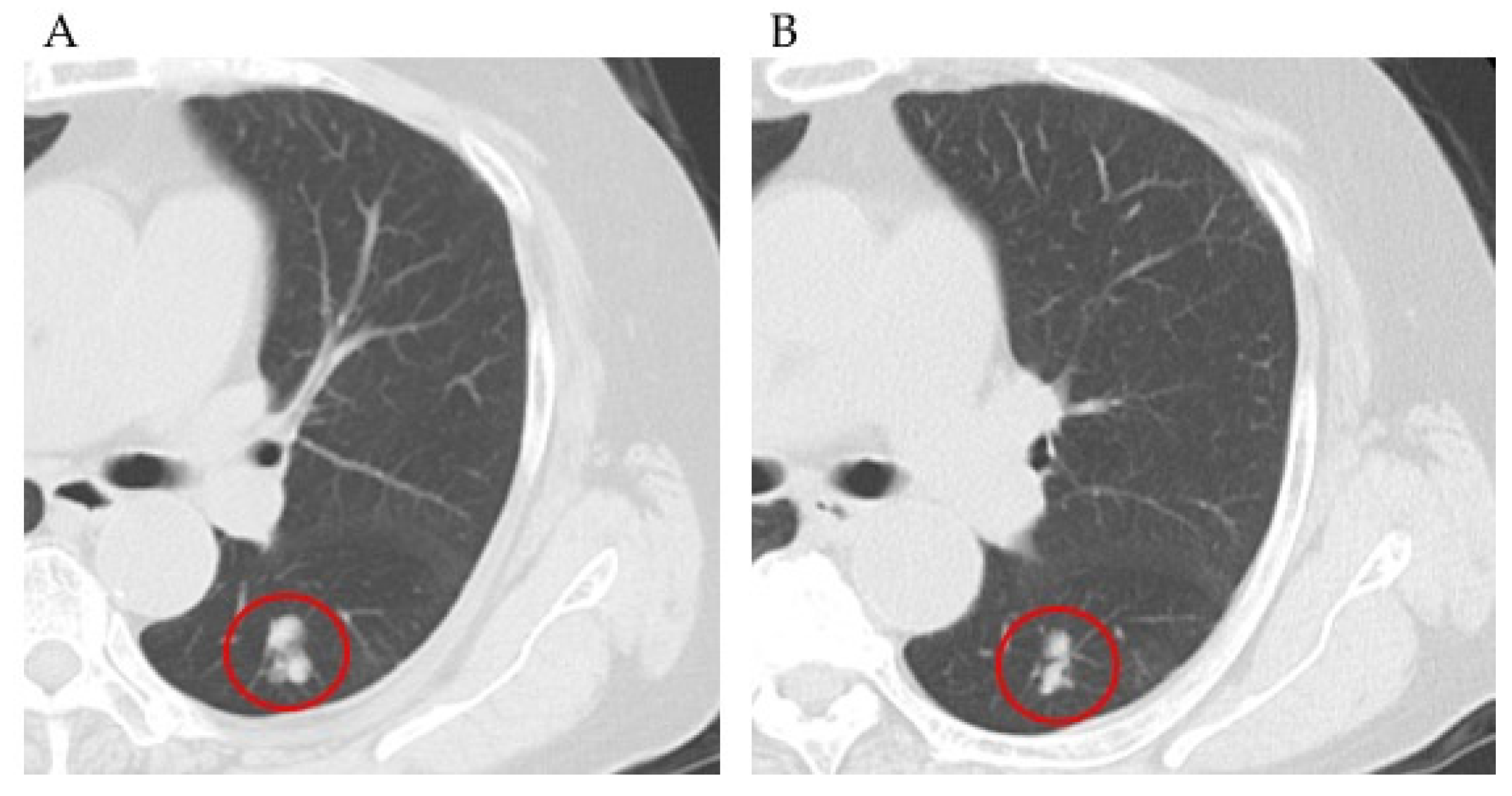 Healthcare 09 01395 g003 550