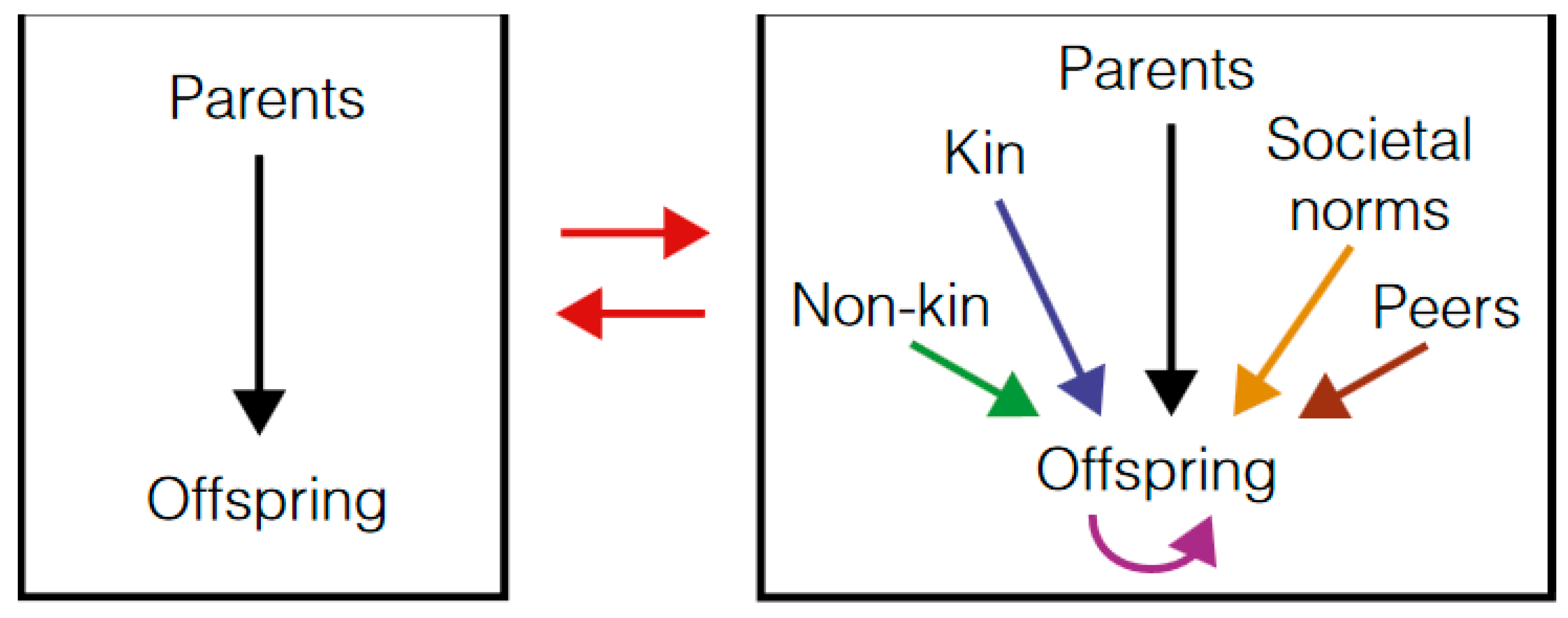 Healthcare 09 01458 g001 550