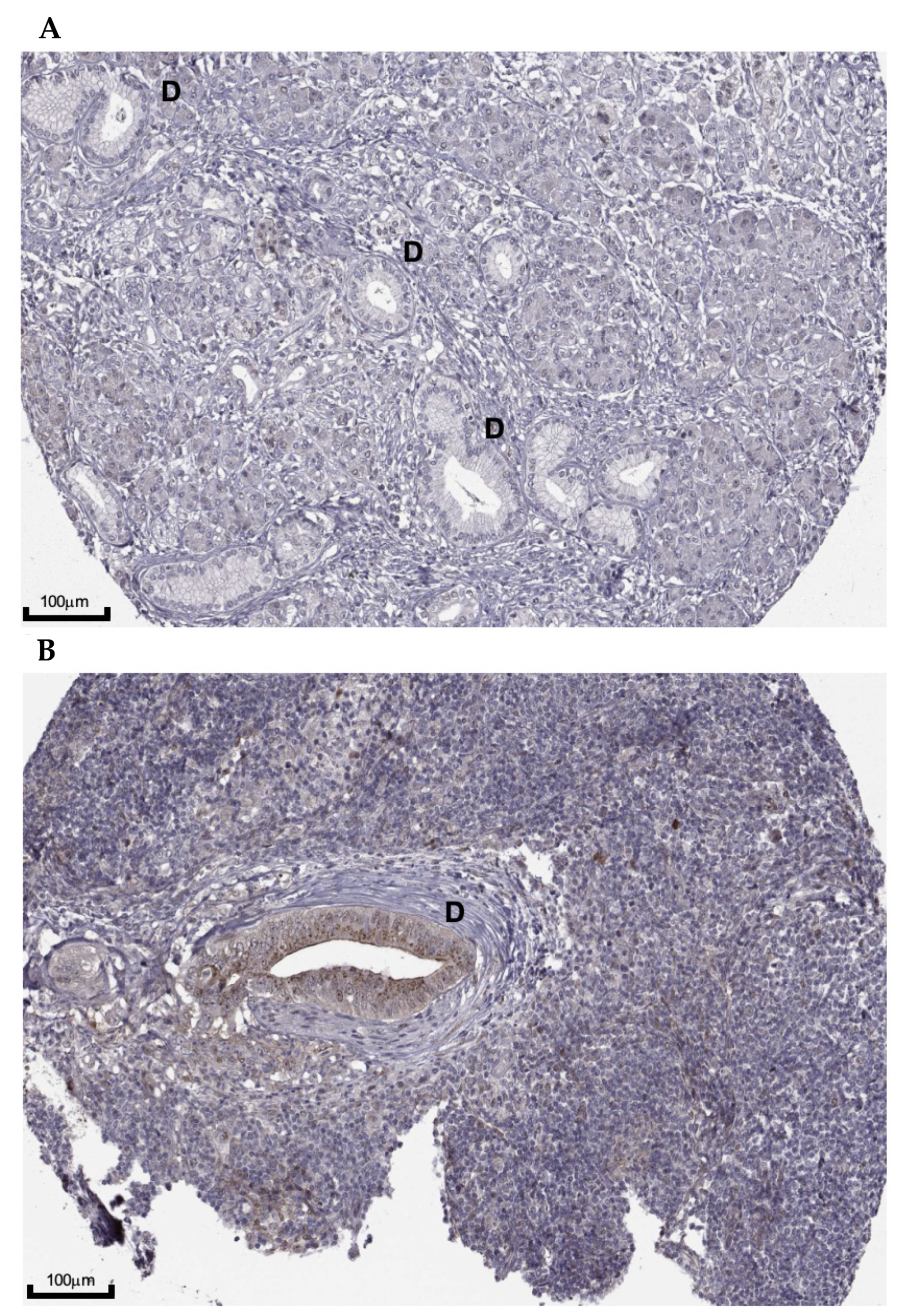 Healthcare 09 01478 g007