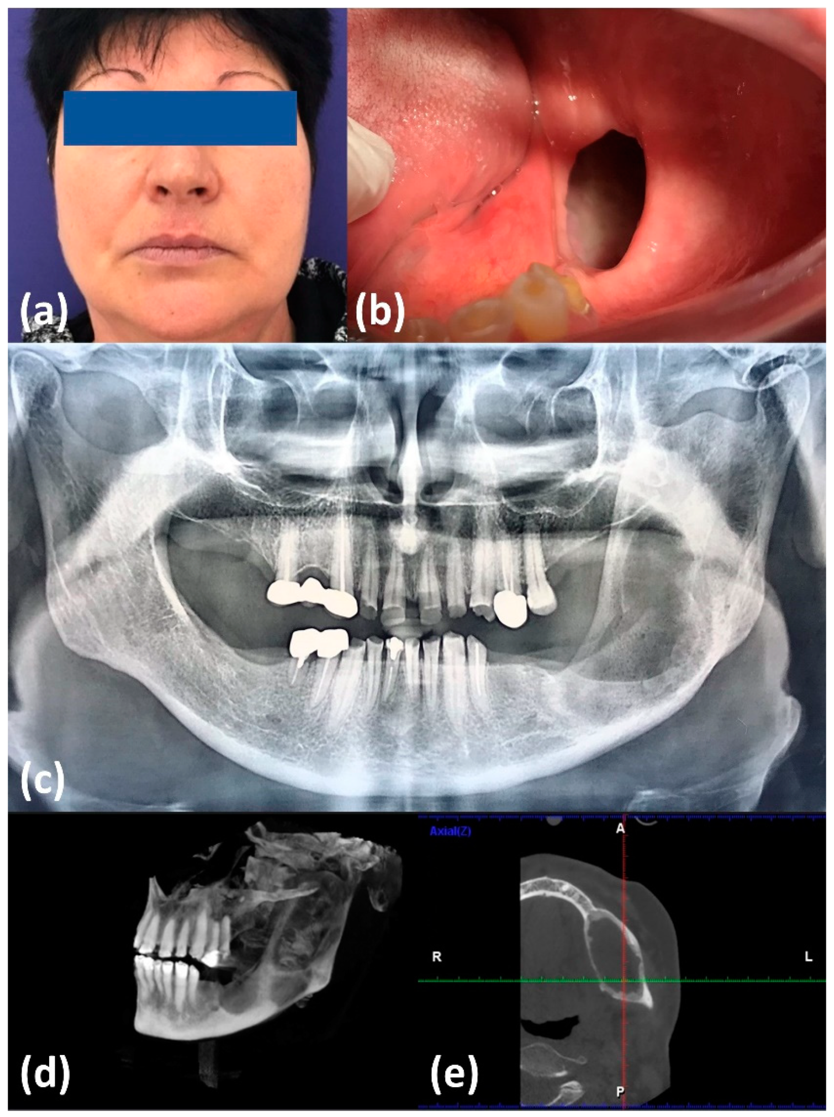 Healthcare 09 01531 g002