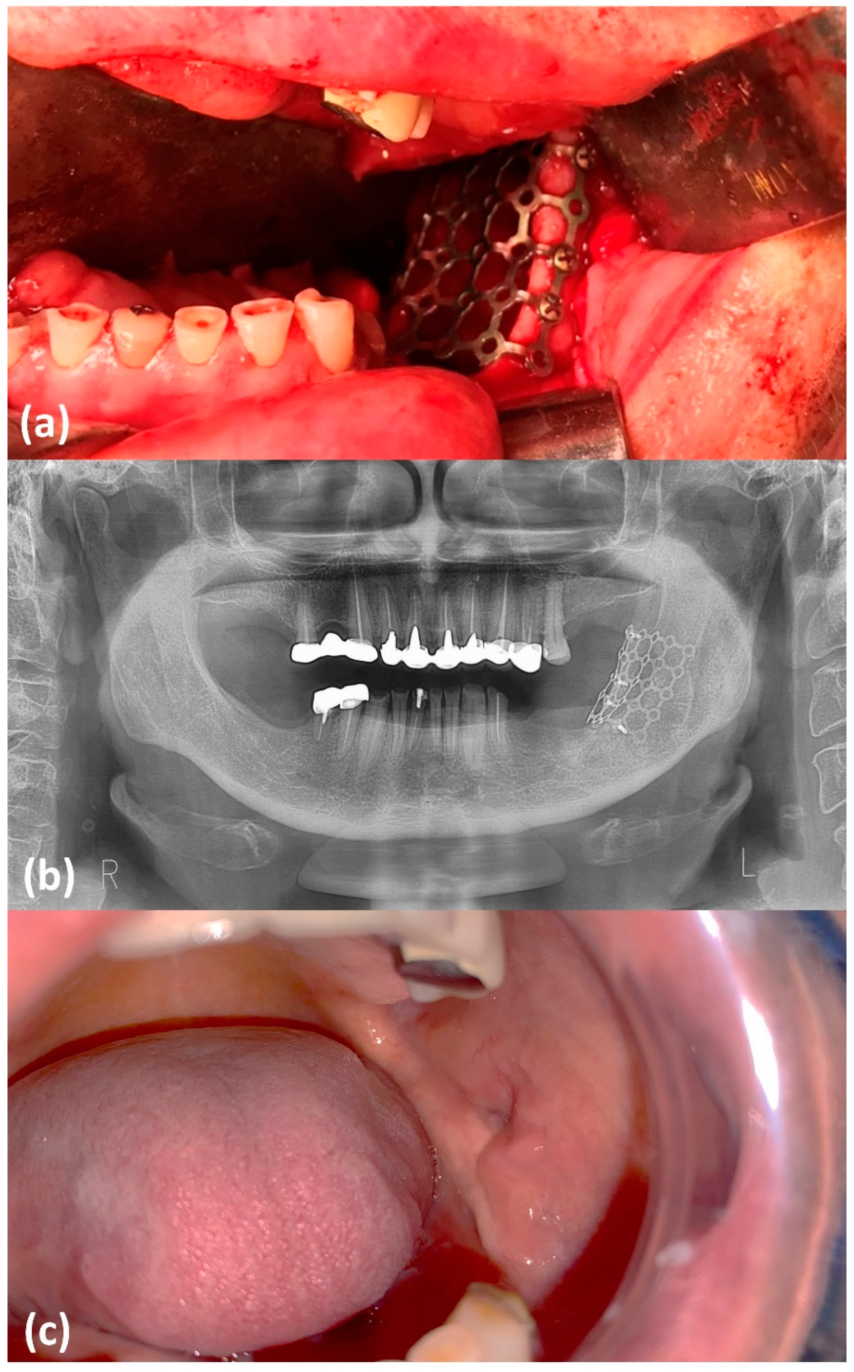 Healthcare 09 01531 g003