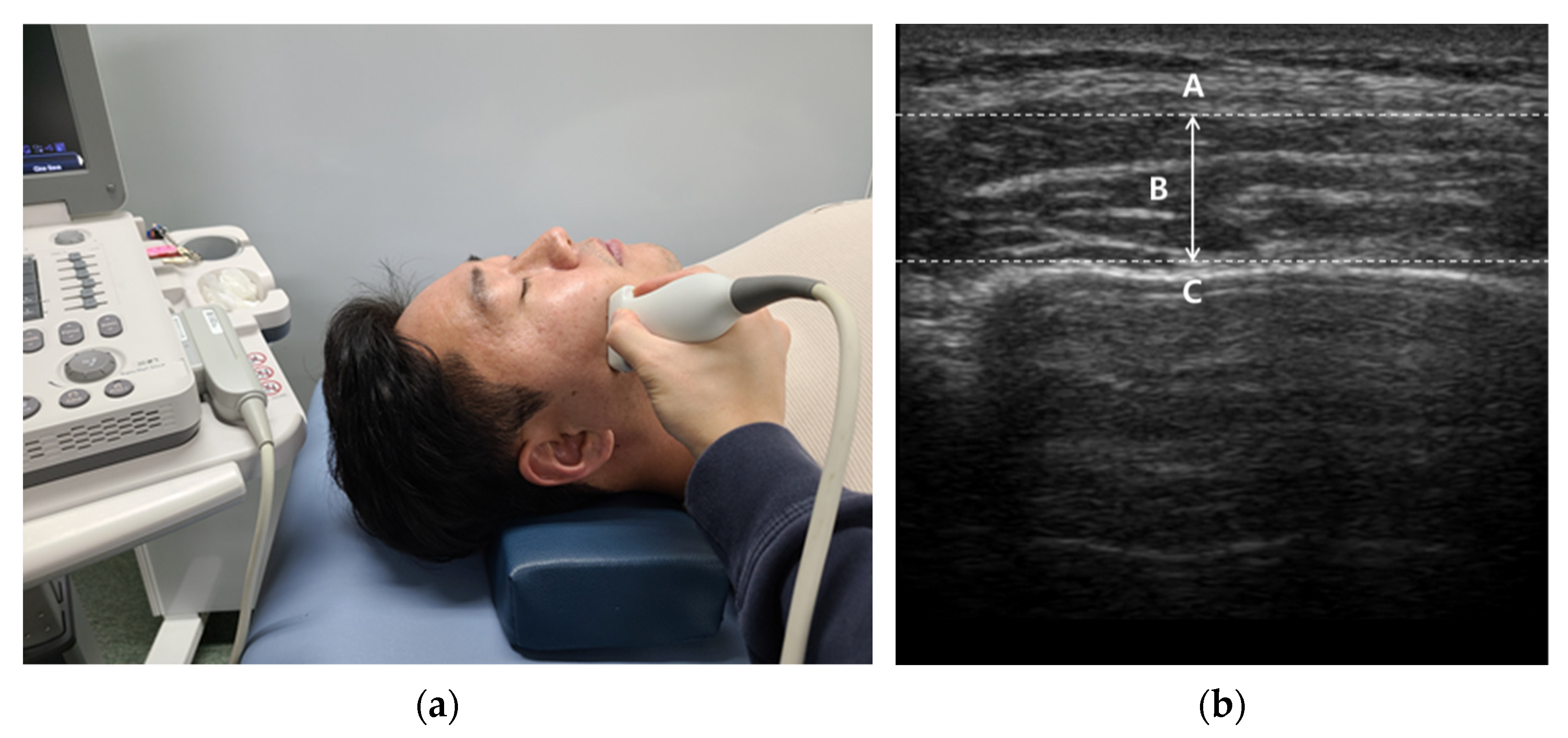 https://www.mdpi.com/healthcare/healthcare-09-01640/article_deploy/html/images/healthcare-09-01640-g001.png